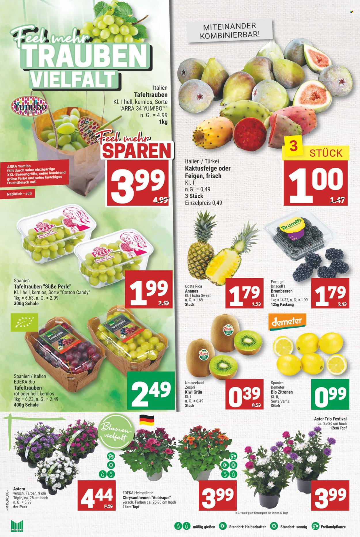 Marktkauf Prospekte  - 26.08.2024 - 31.08.2024. Seite 6