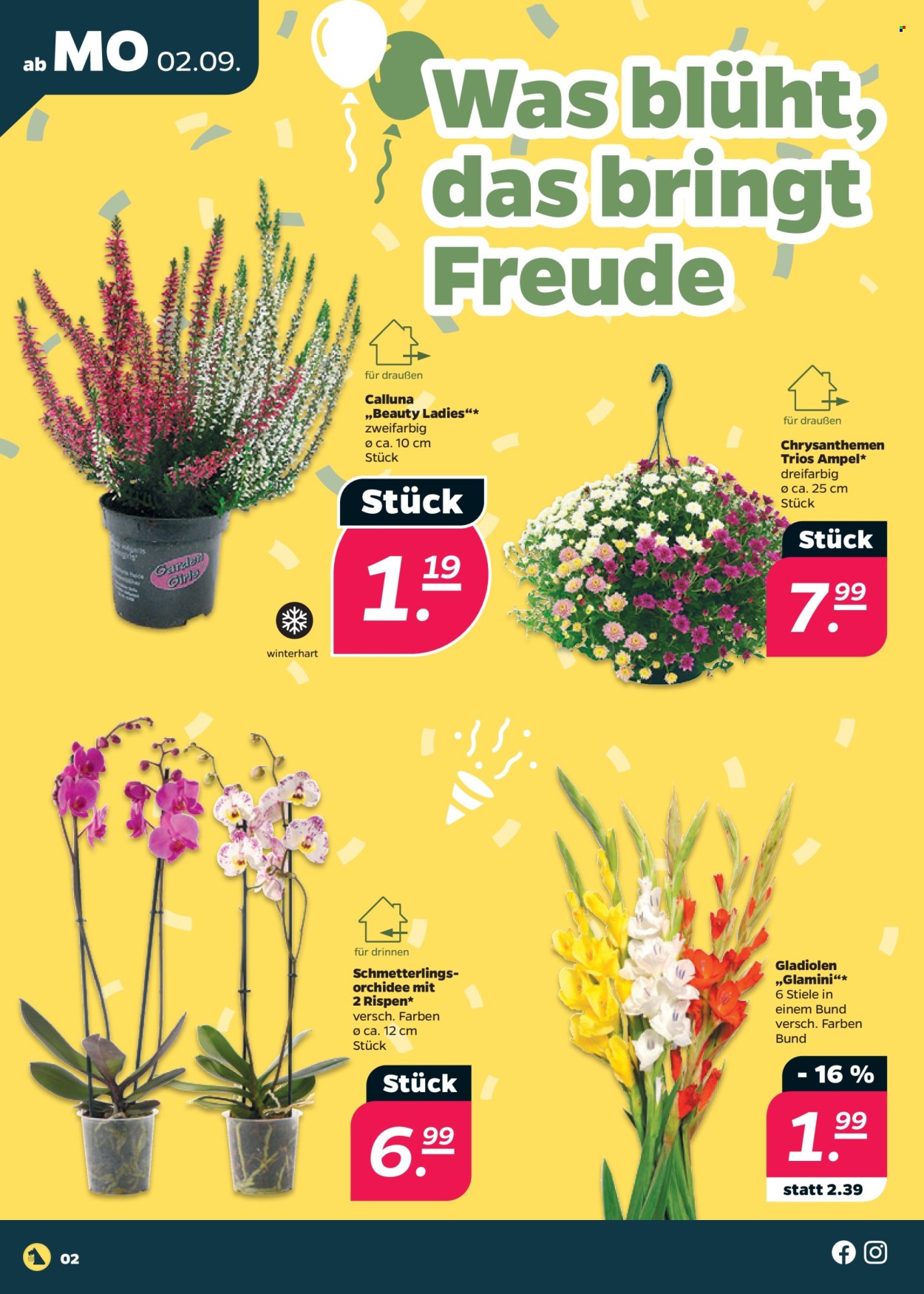 Netto Prospekte  - 2.09.2024 - 7.09.2024. Seite 2