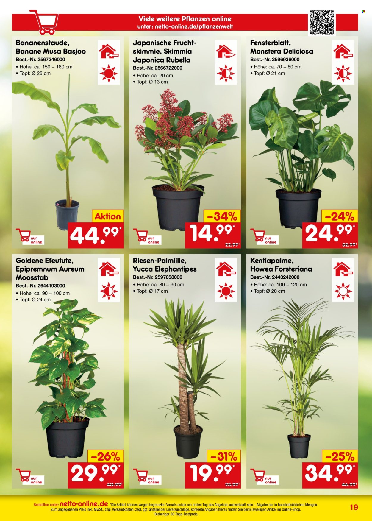 Netto Marken-Discount Prospekte  - 1.09.2024 - 30.09.2024. Seite 19
