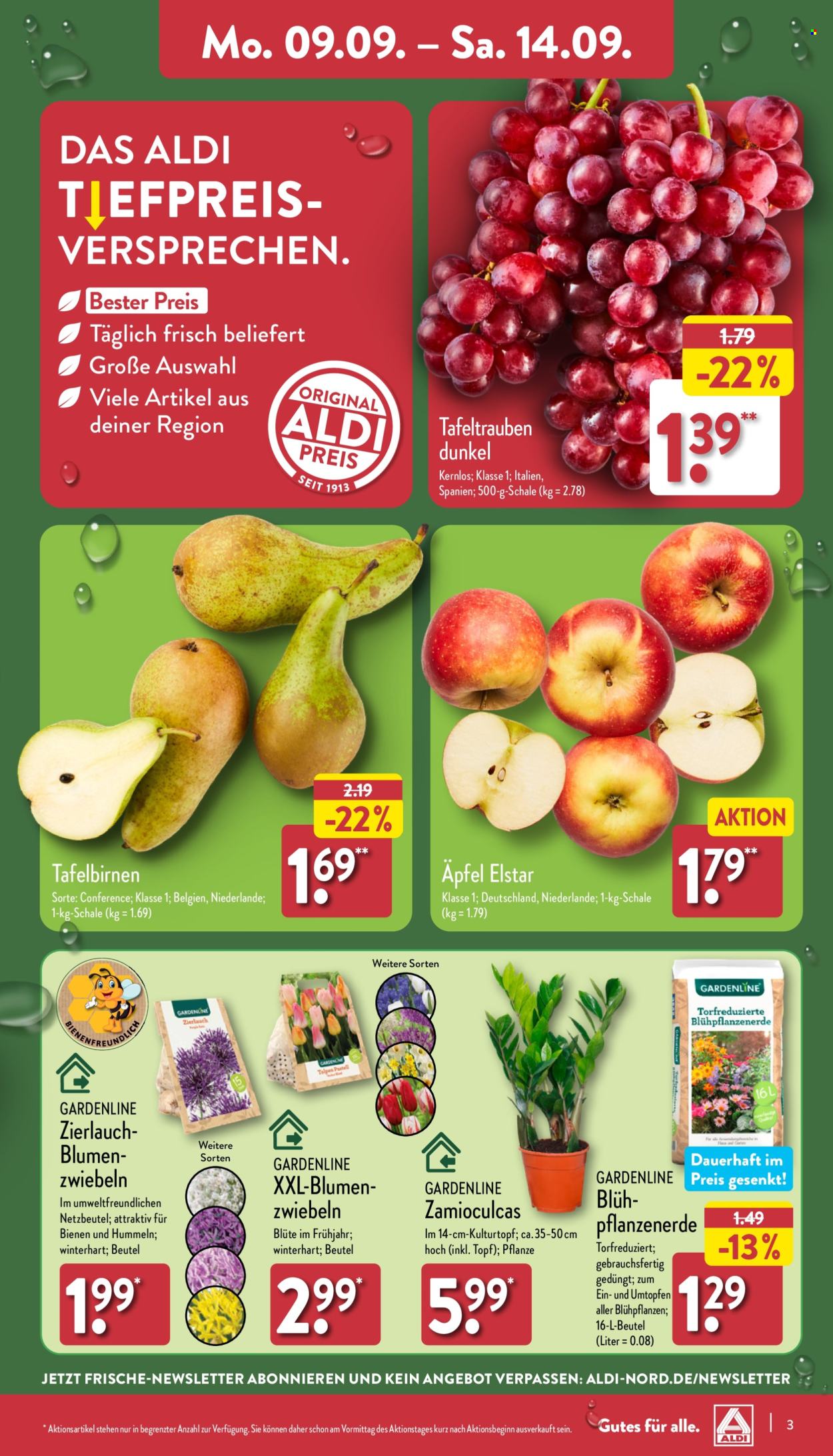 ALDI Nord Prospekte  - 9.09.2024 - 14.09.2024. Seite 3
