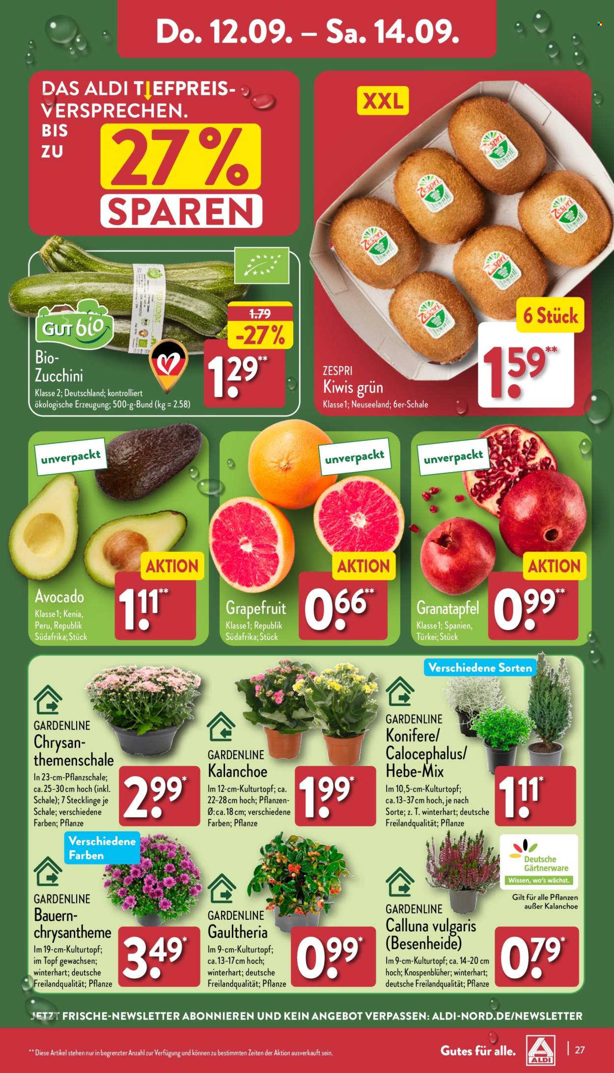 ALDI Nord Prospekte  - 9.09.2024 - 14.09.2024. Seite 27