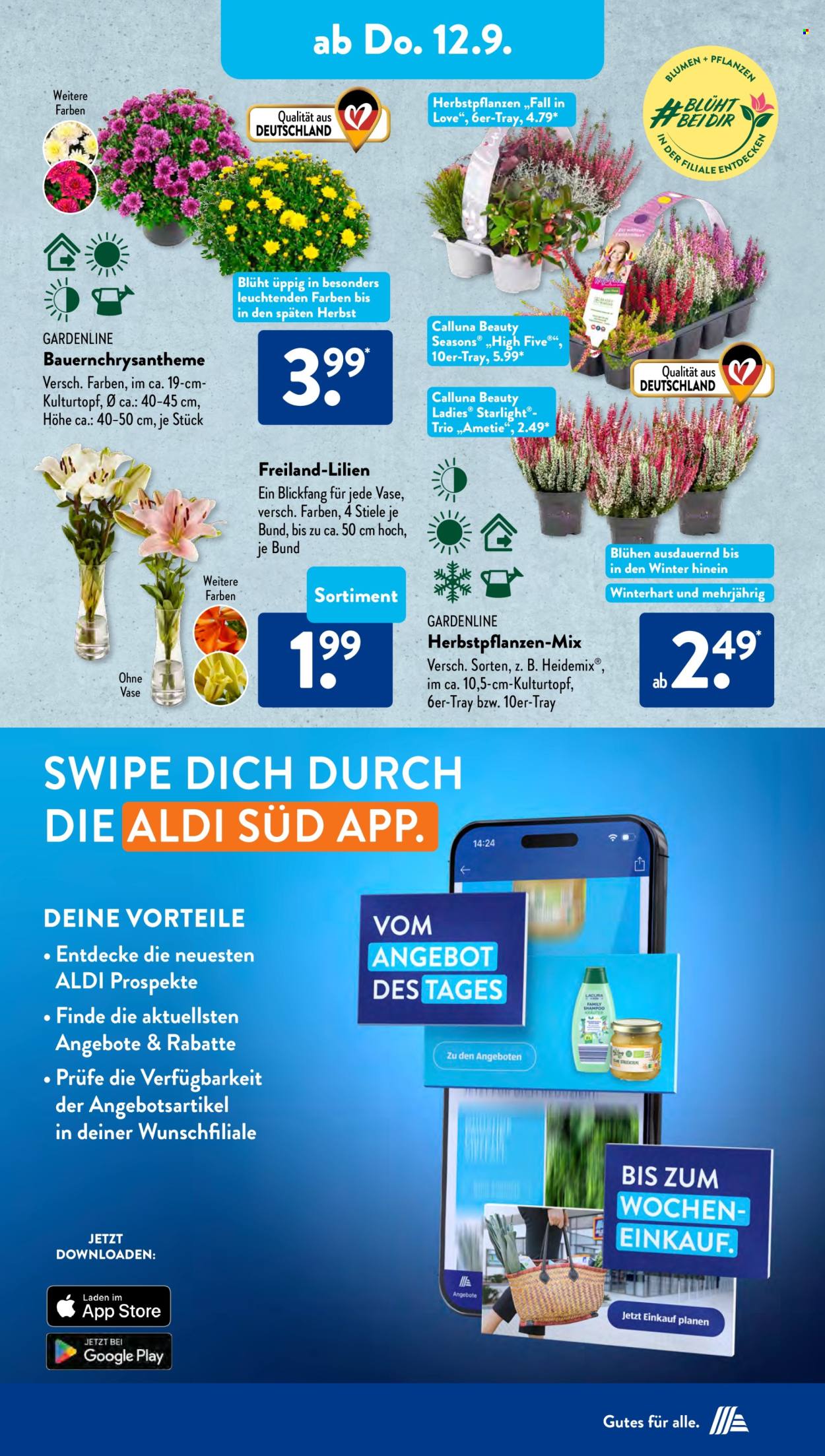 ALDI SÜD Prospekte  - 9.09.2024 - 14.09.2024. Seite 23