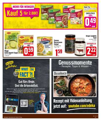 thumbnail - Knorr Fix*