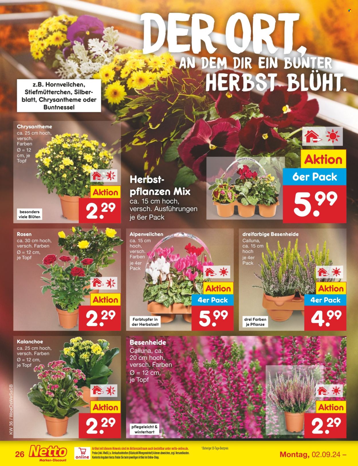 Netto Marken-Discount Prospekte  - 2.09.2024 - 7.09.2024. Seite 27