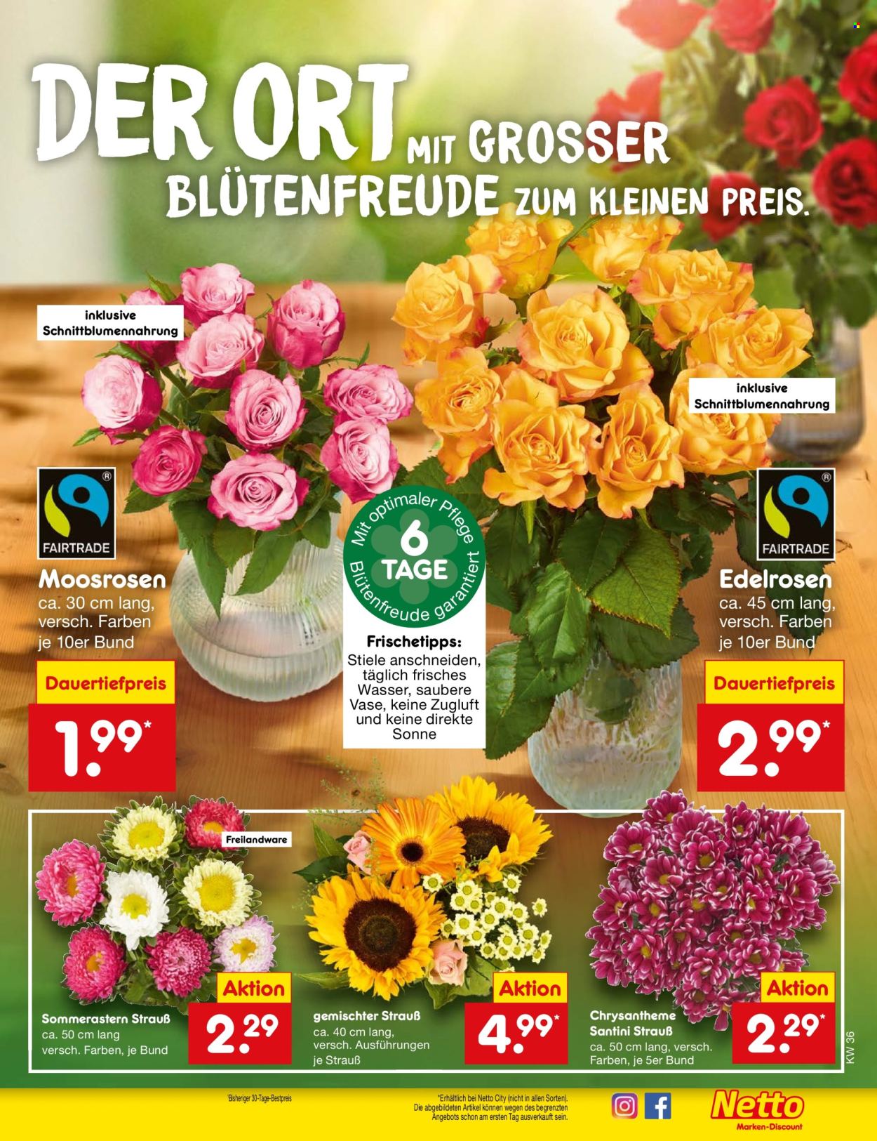 Netto Marken-Discount Prospekte  - 2.09.2024 - 7.09.2024. Seite 36