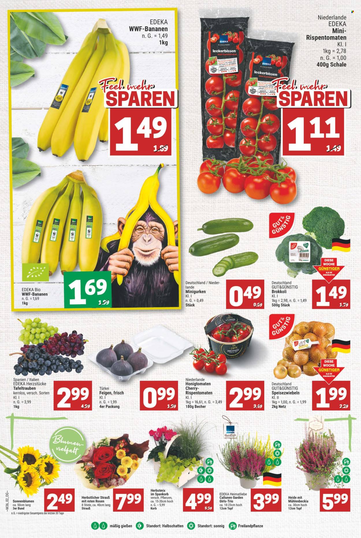 Marktkauf Prospekte  - 2.09.2024 - 7.09.2024. Seite 8