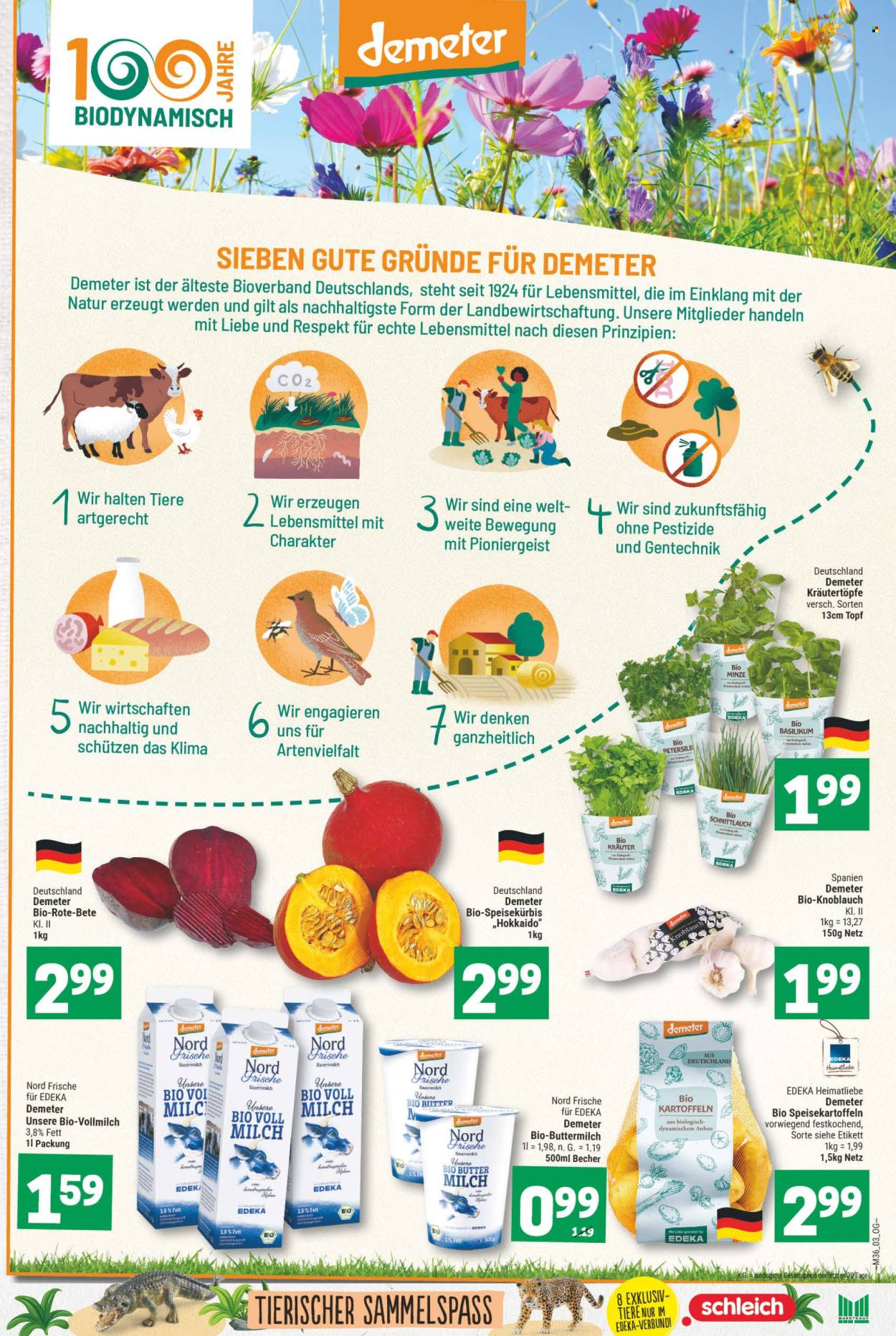 Marktkauf Prospekte  - 2.09.2024 - 7.09.2024. Seite 9