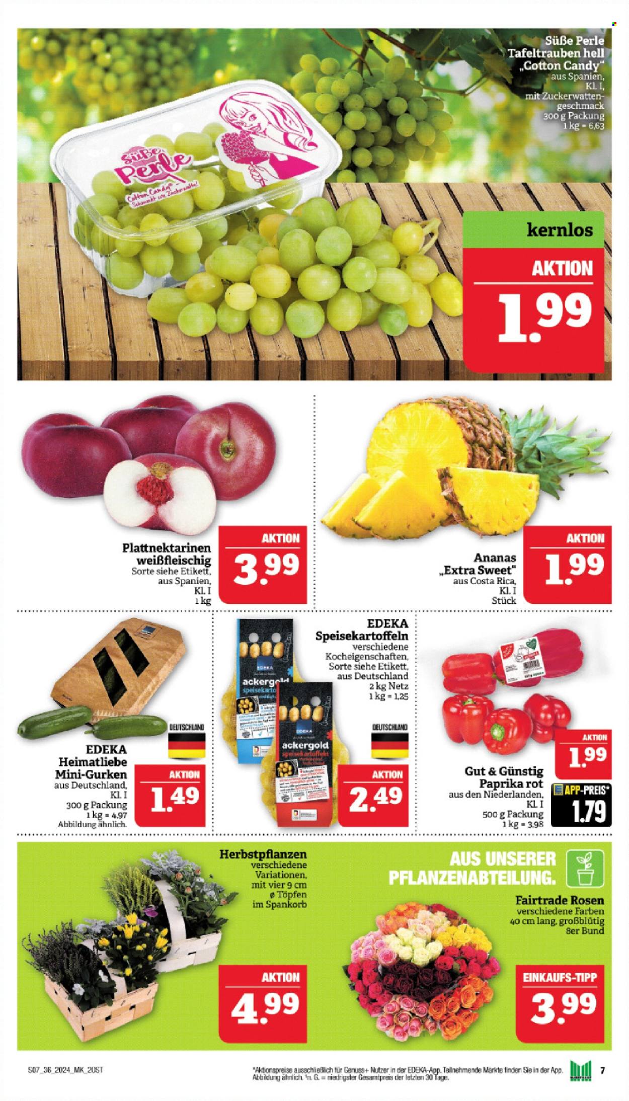 Marktkauf Prospekte  - 2.09.2024 - 7.09.2024. Seite 9
