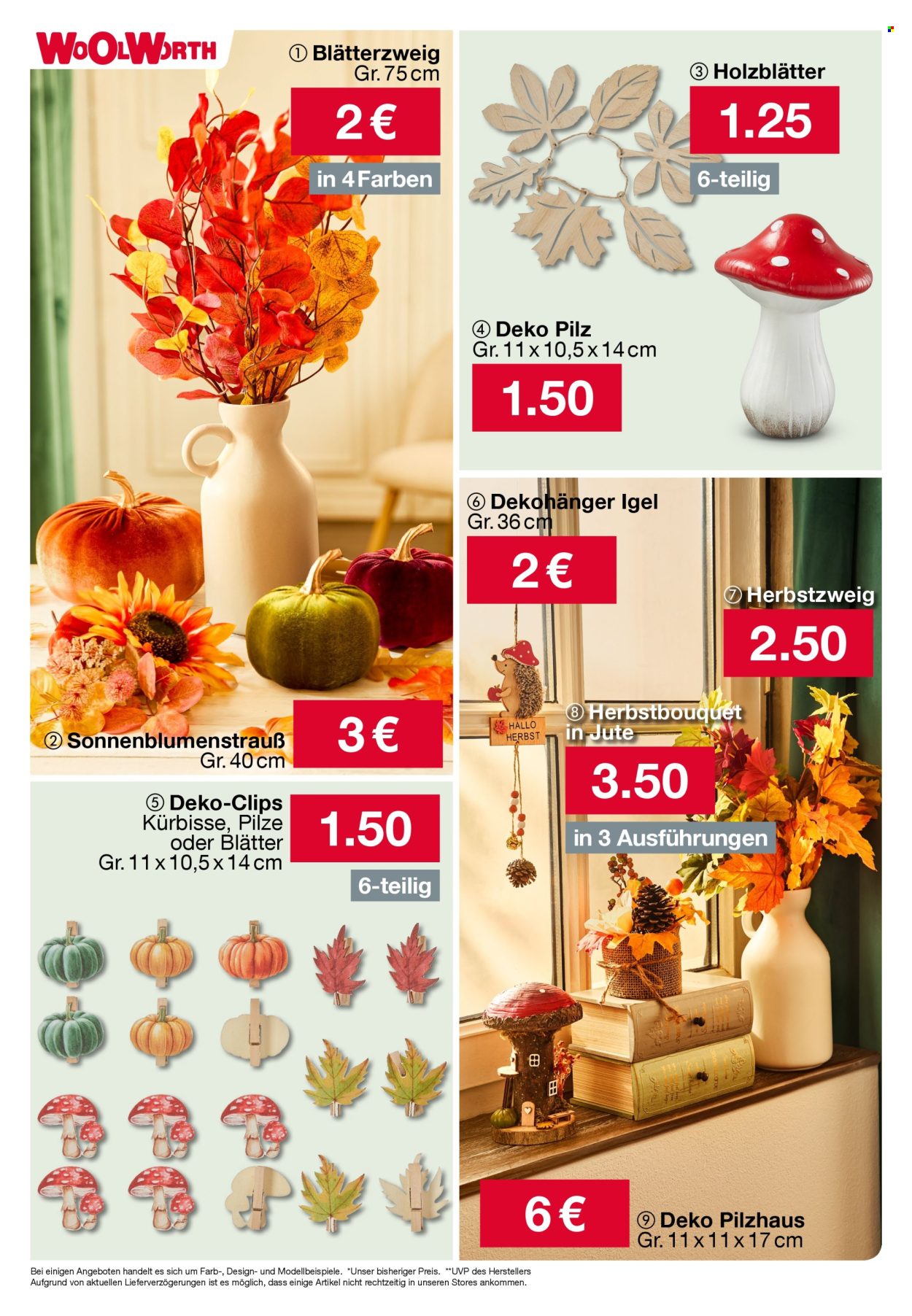 Woolworth Prospekte  - 5.09.2024 - 12.09.2024. Seite 21