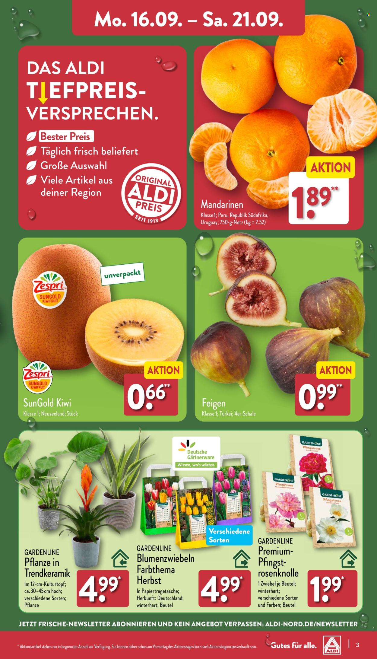 ALDI Nord Prospekte  - 16.09.2024 - 21.09.2024. Seite 3