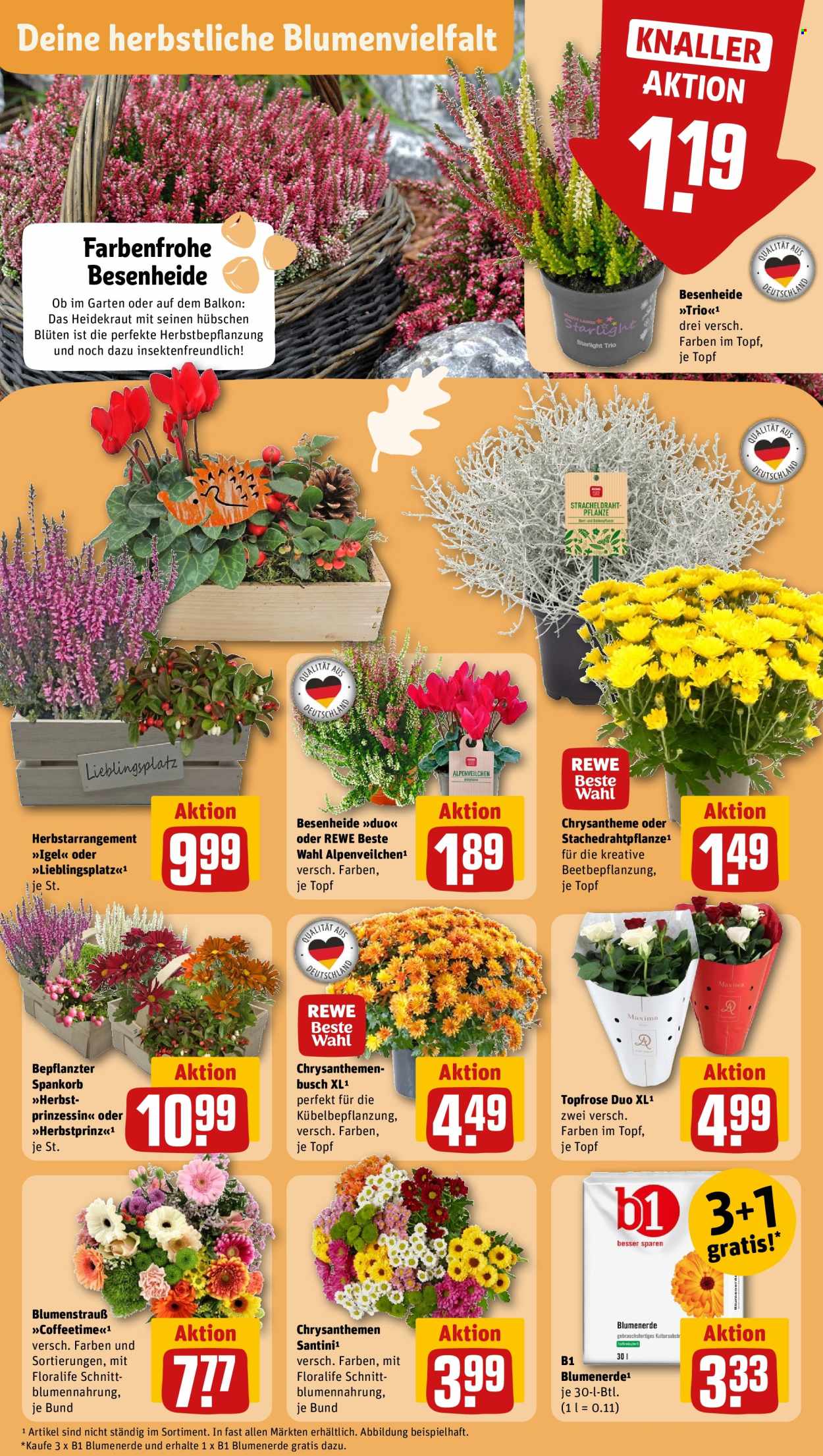 REWE Prospekte  - 16.09.2024 - 21.09.2024. Seite 7