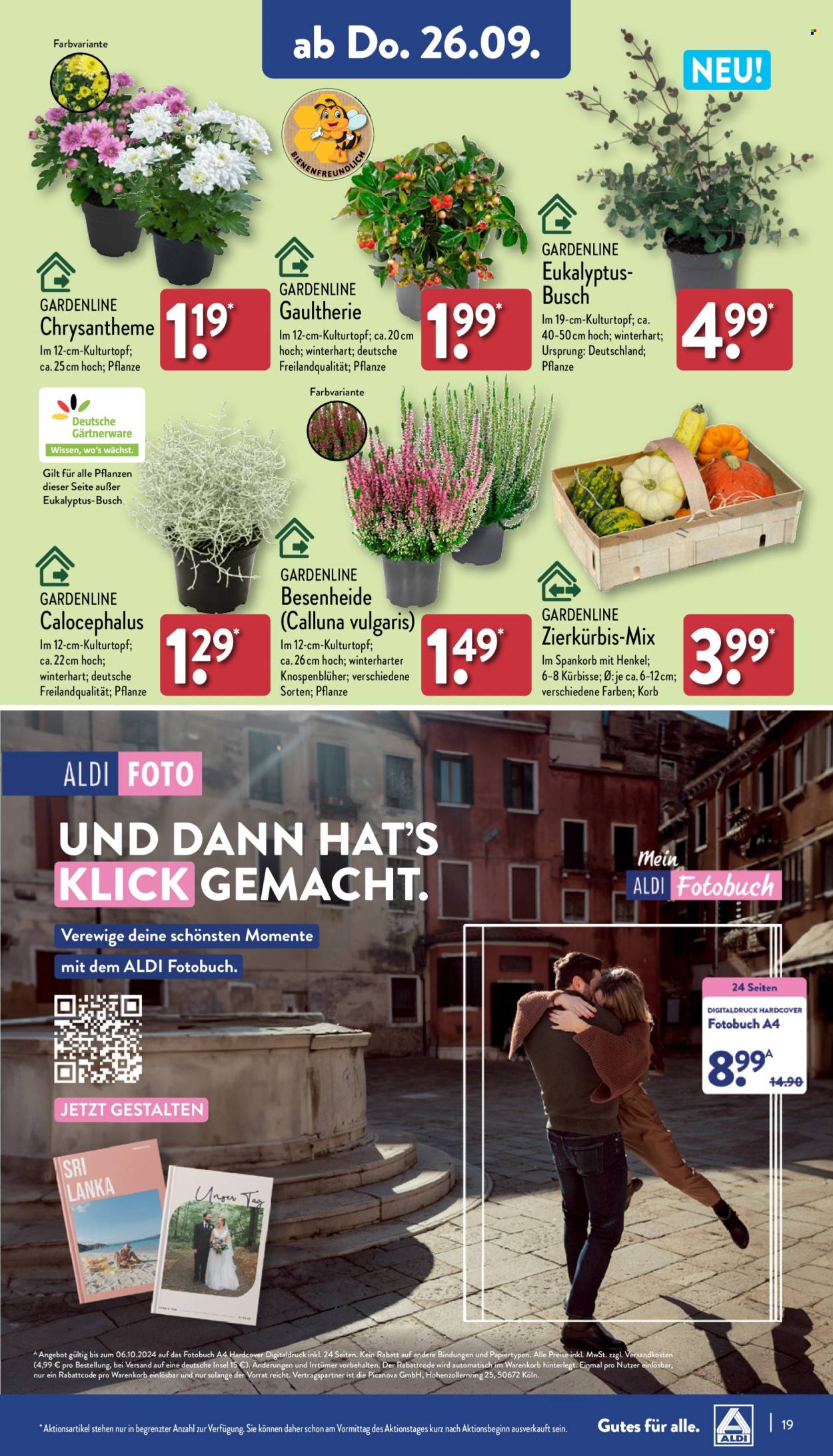 ALDI Nord Prospekte  - 23.09.2024 - 28.09.2024. Seite 19