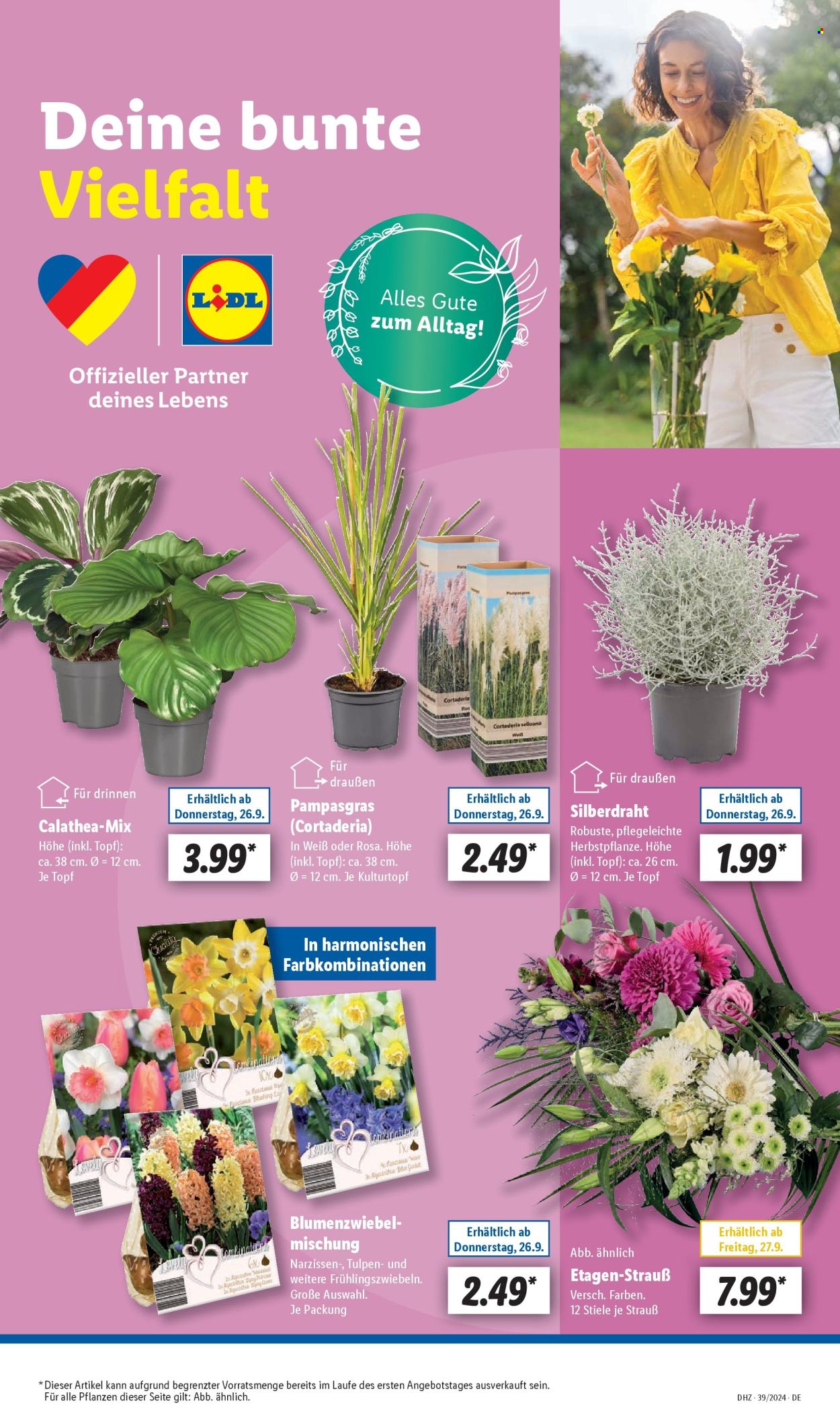Lidl Prospekte  - 23.09.2024 - 28.09.2024. Seite 7
