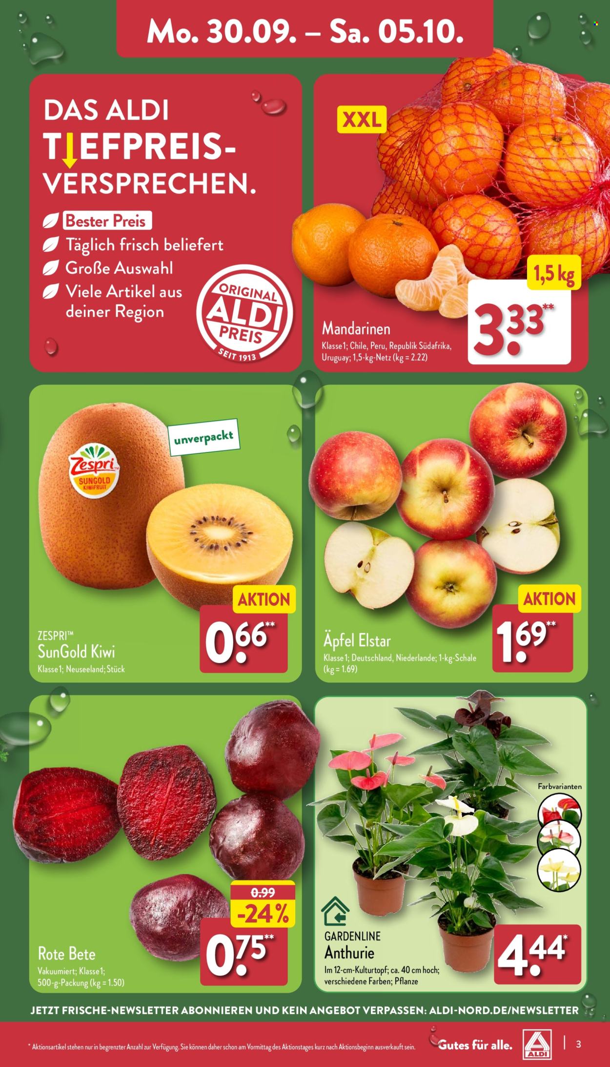 ALDI Nord Prospekte  - 30.09.2024 - 5.10.2024. Seite 3