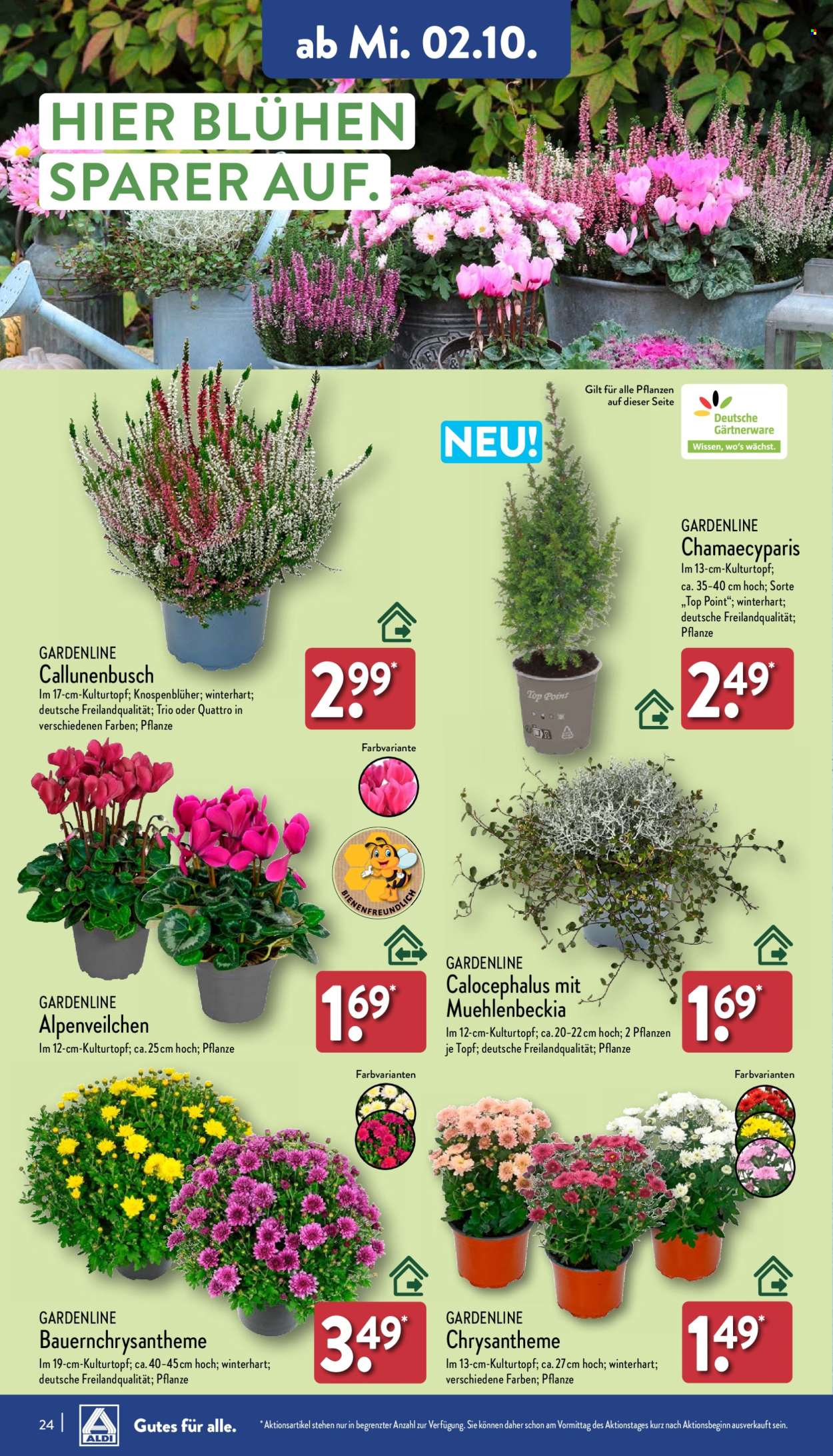 ALDI Nord Prospekte  - 30.09.2024 - 5.10.2024. Seite 24