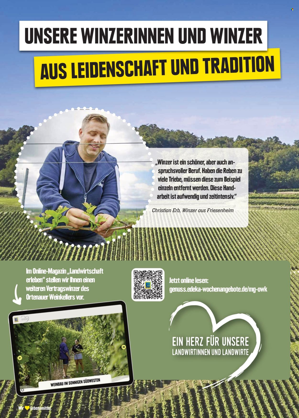 Edeka Prospekte  - 23.09.2024 - 28.09.2024. Seite 24