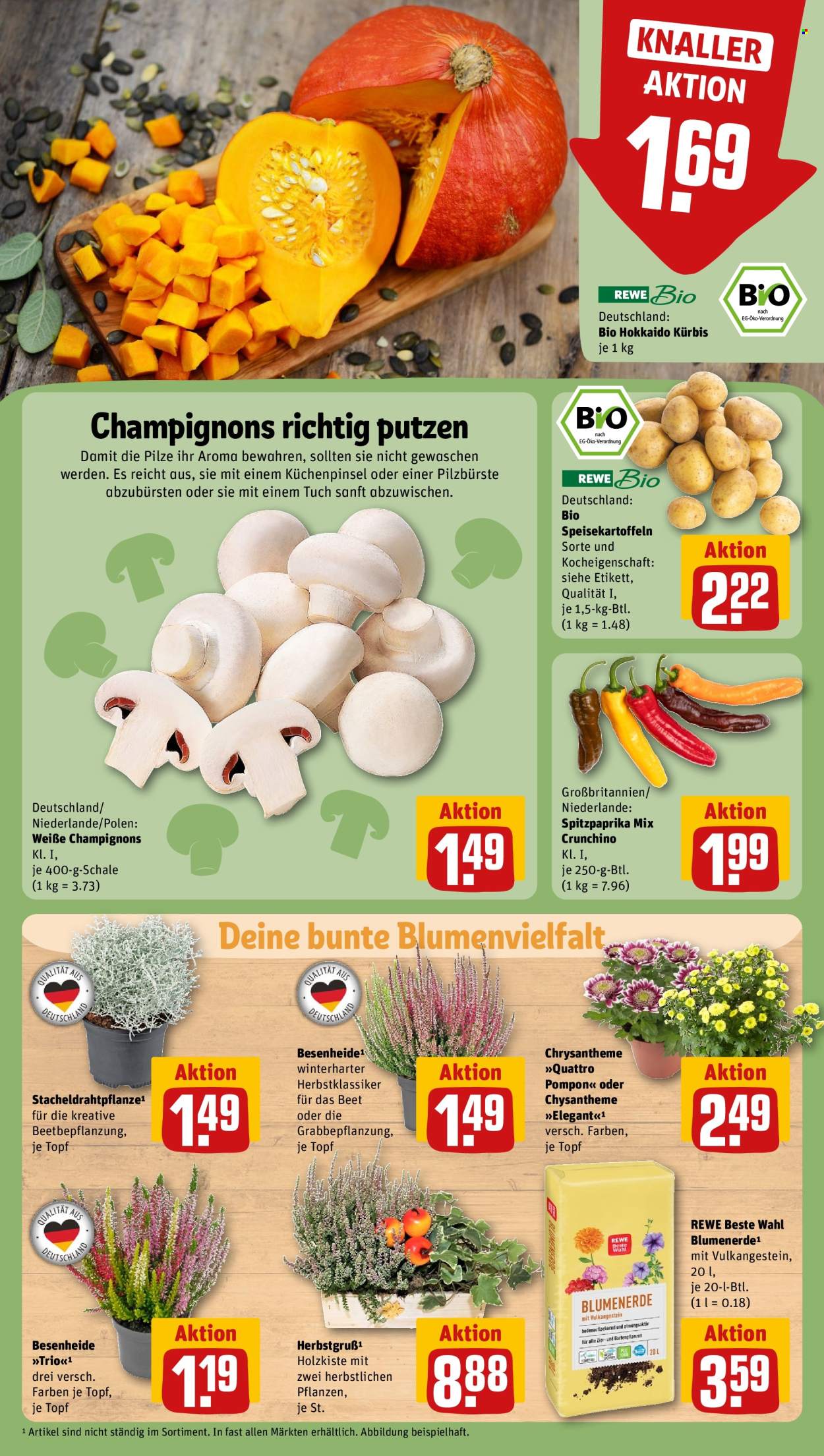 Leták REWE - 30.9.2024 - 5.10.2024. Strana 11