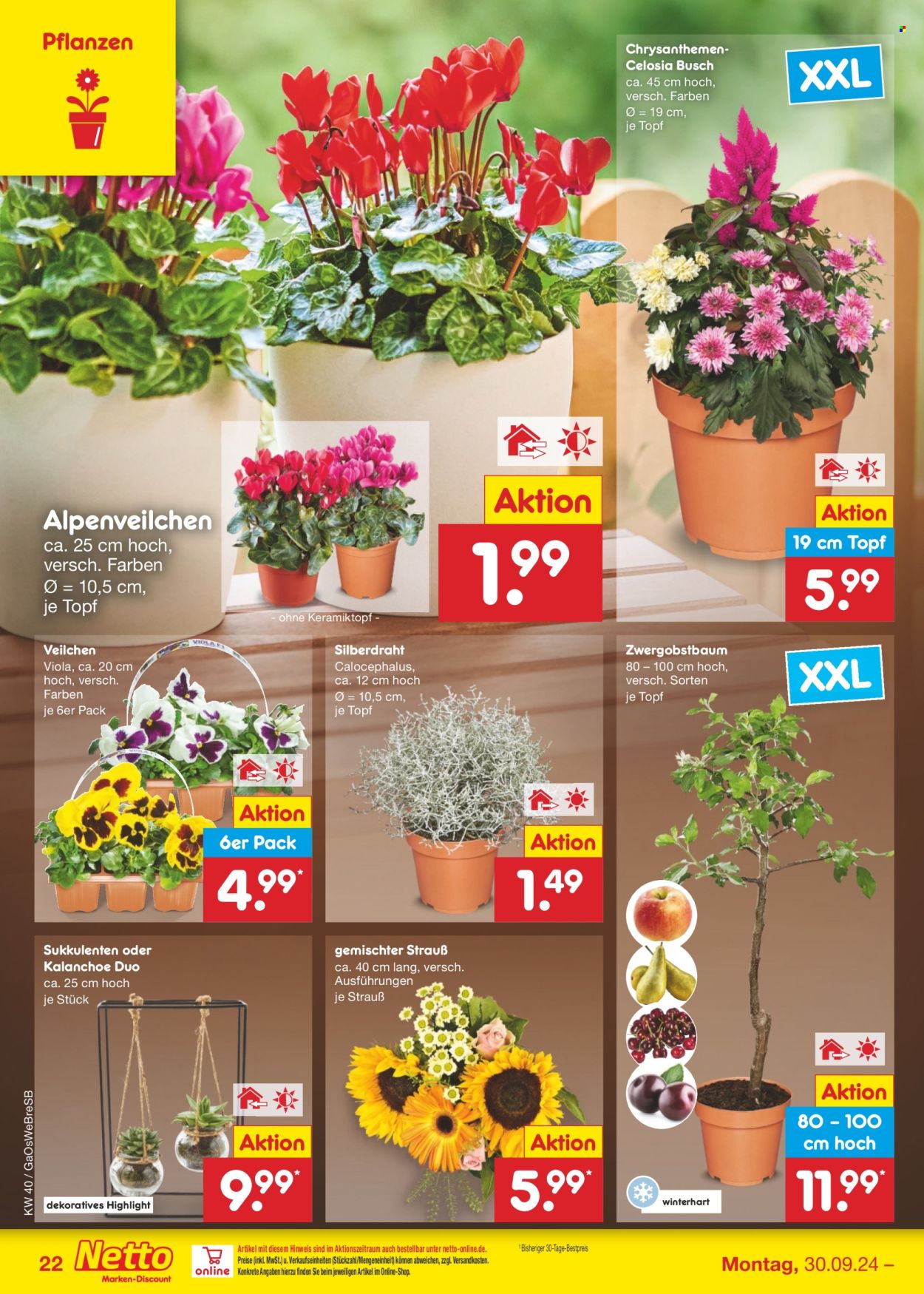 Netto Marken-Discount Prospekte  - 30.09.2024 - 5.10.2024. Seite 27