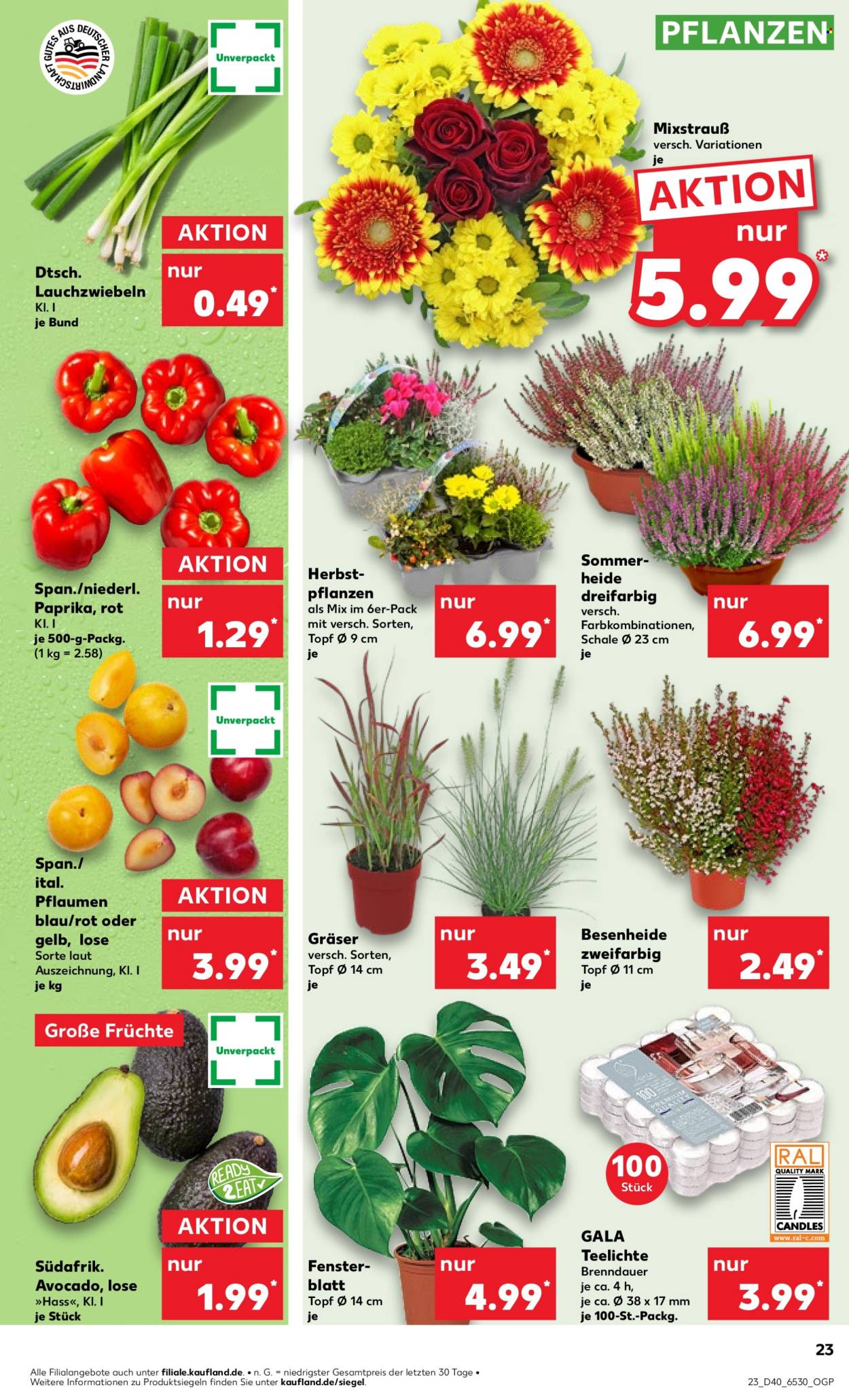 Kaufland Prospekte  - 4.10.2024 - 9.10.2024. Seite 23