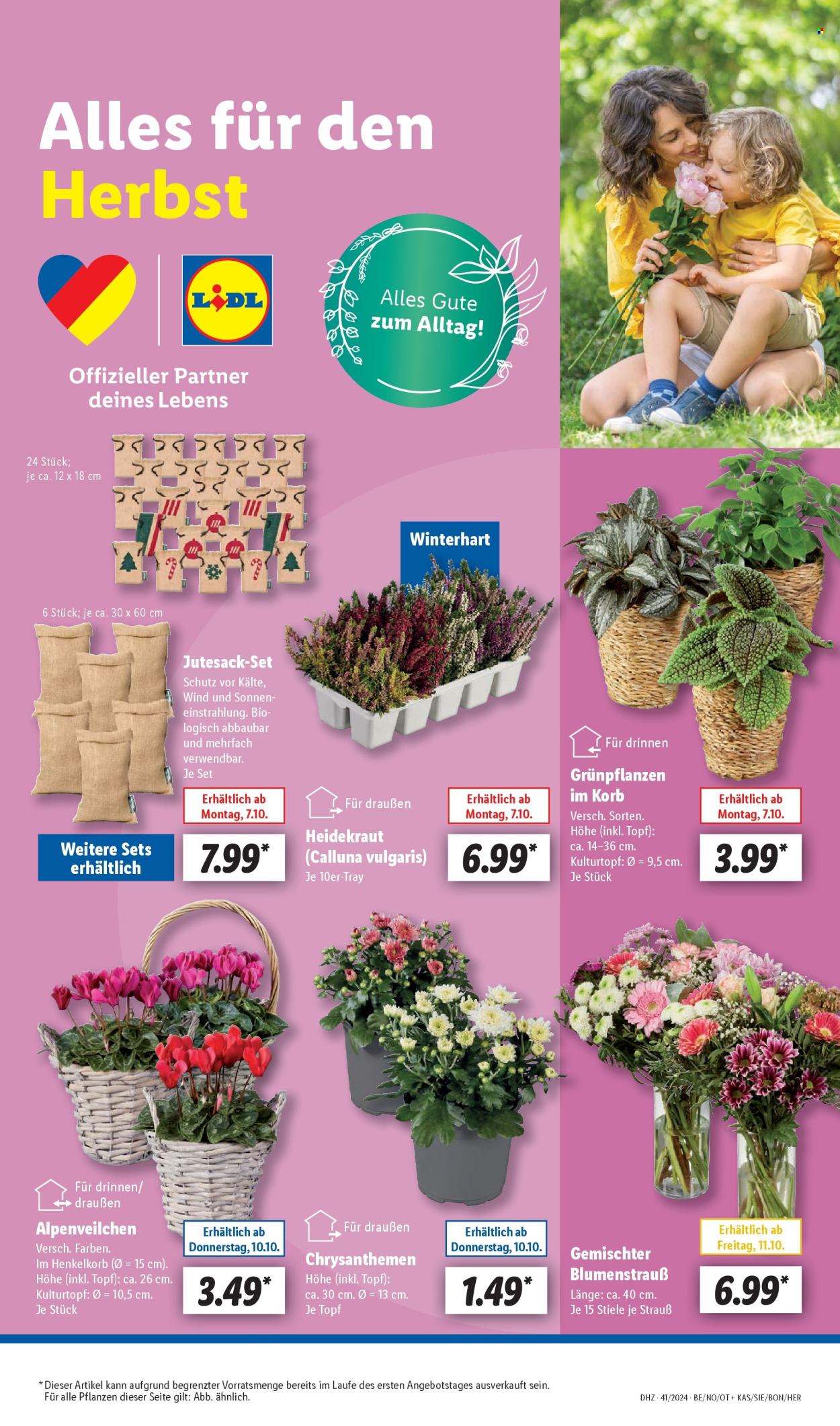 Lidl Prospekte  - 7.10.2024 - 12.10.2024. Seite 21