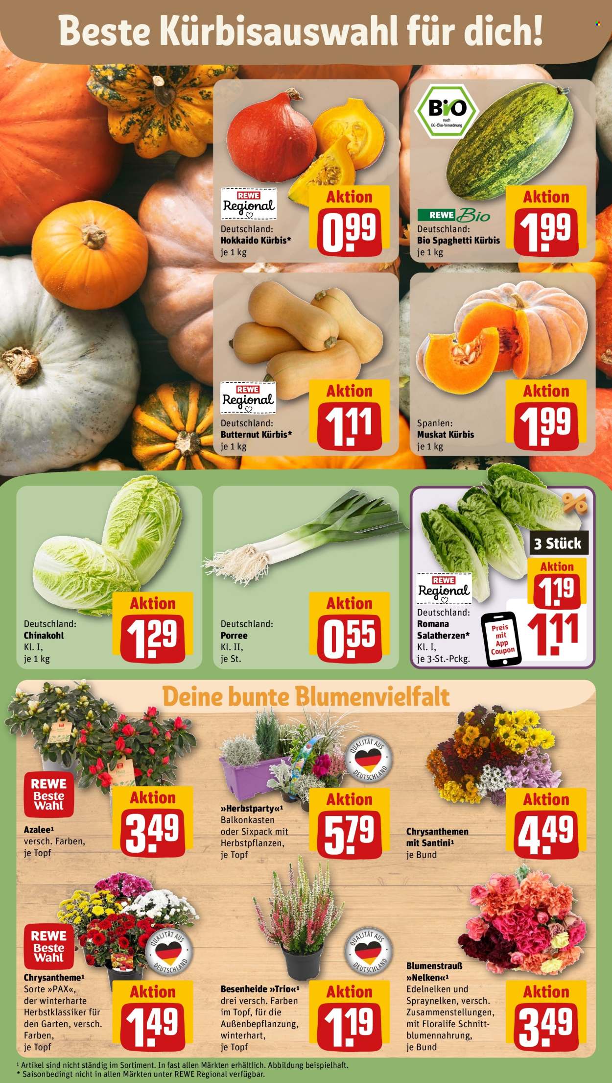REWE Prospekte  - 7.10.2024 - 12.10.2024. Seite 7