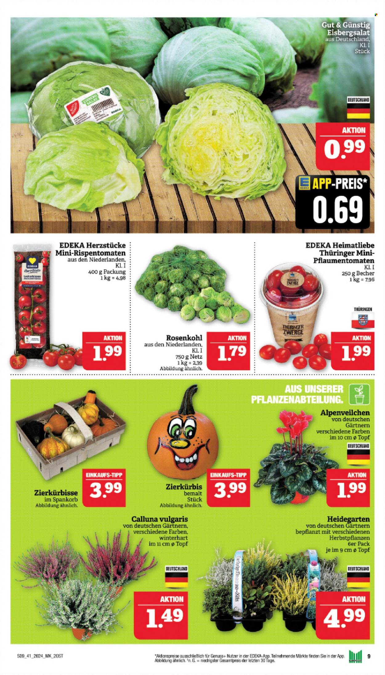 Marktkauf Prospekte  - 7.10.2024 - 12.10.2024. Seite 9