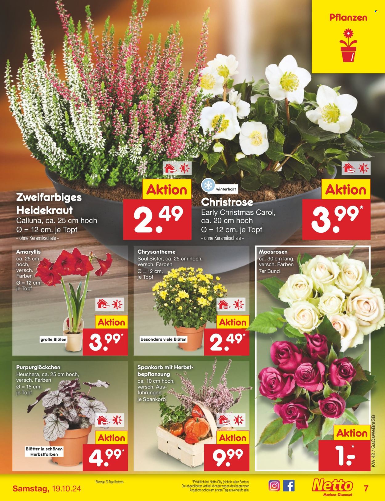 Netto Marken-Discount Prospekte  - 14.10.2024 - 19.10.2024. Seite 7