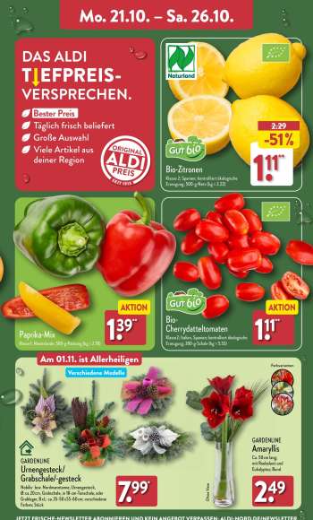 thumbnail - GARDENLINE Amaryllis