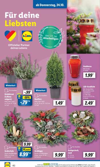 thumbnail - Heidekraut „Calluna vulgaris“