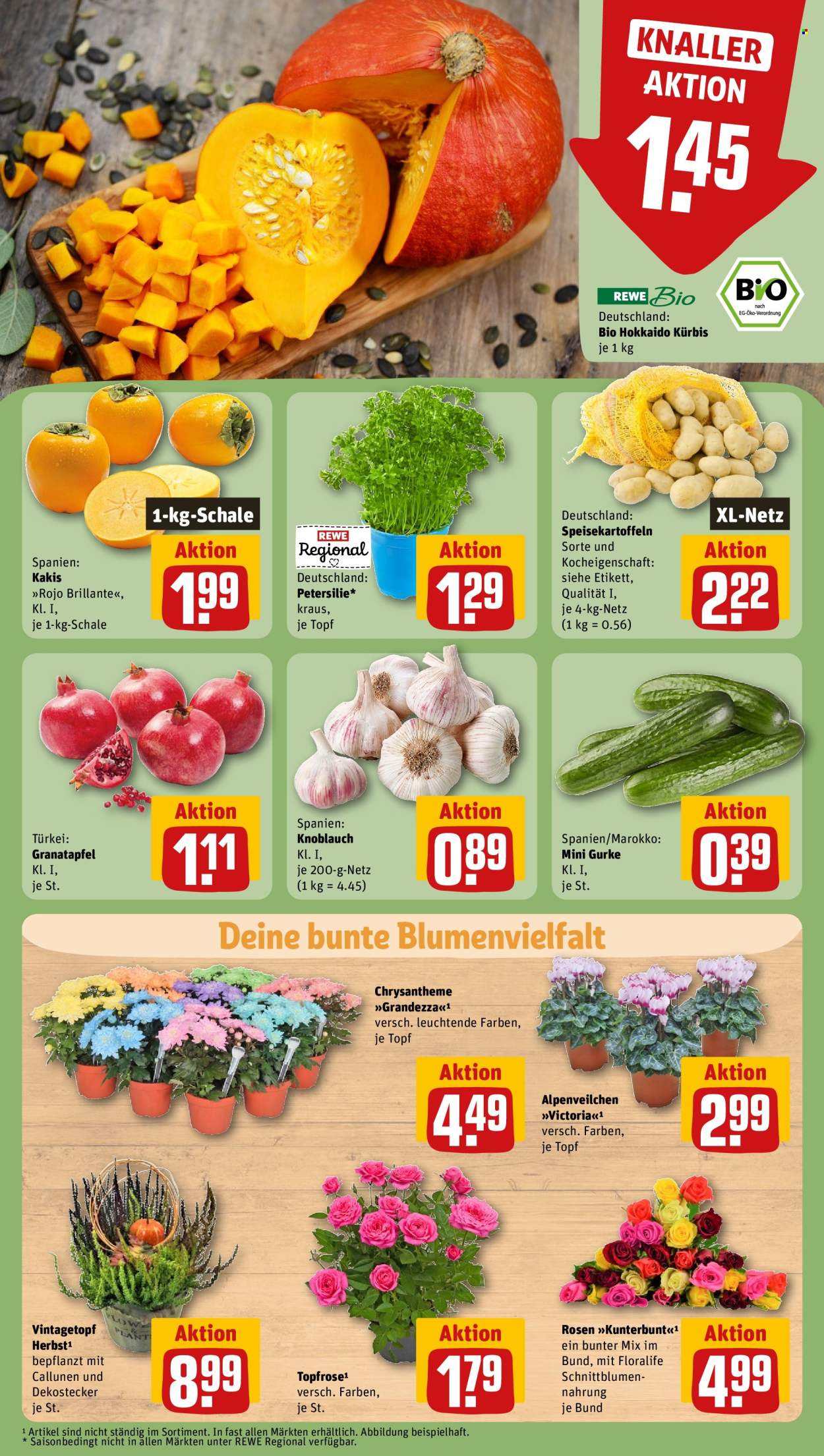 Leták REWE - 21.10.2024 - 26.10.2024. Strana 7