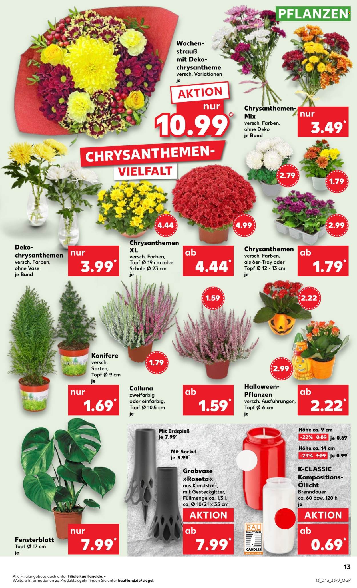 Kaufland Prospekte  - 24.10.2024 - 30.10.2024. Seite 13