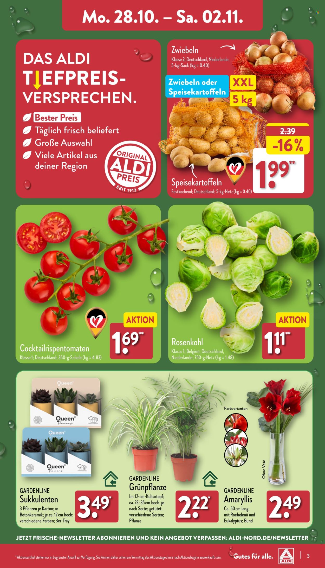 ALDI Nord Prospekte  - 28.10.2024 - 2.11.2024. Seite 3