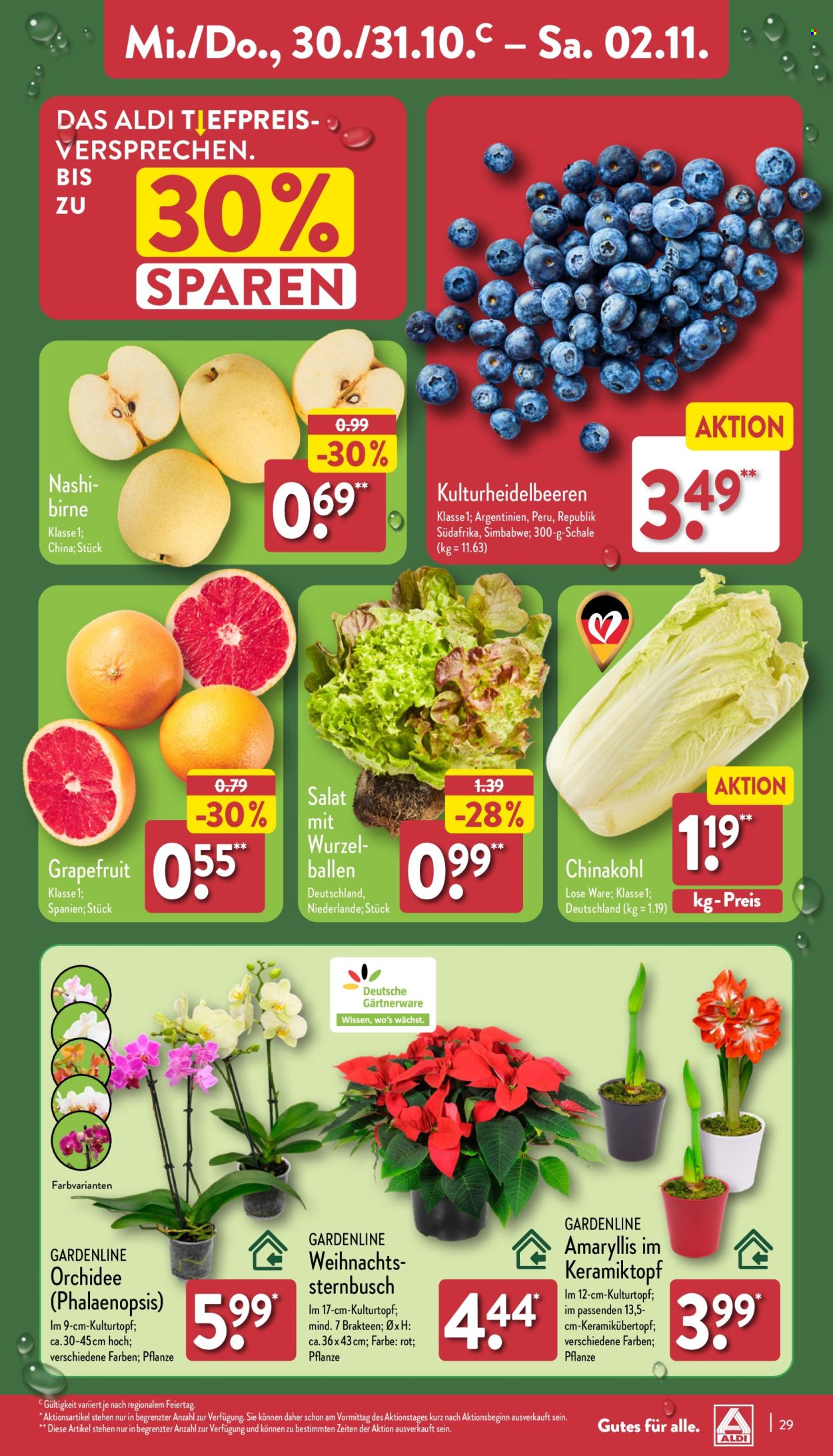 ALDI Nord Prospekte  - 28.10.2024 - 2.11.2024. Seite 29