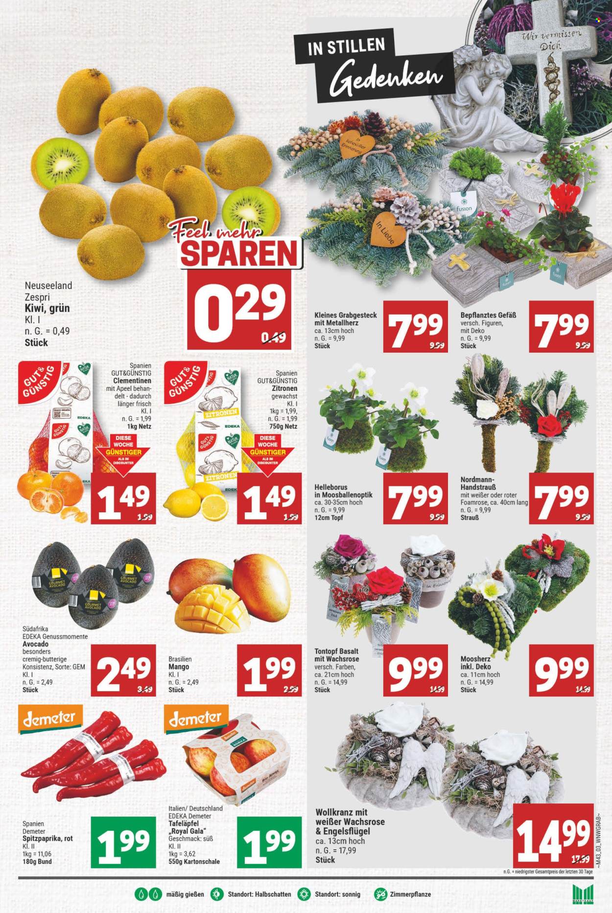 Marktkauf Prospekte  - 21.10.2024 - 26.10.2024. Seite 7