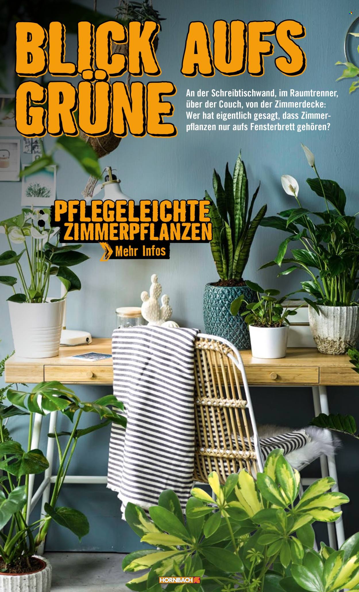 Hornbach Prospekte . Seite 50