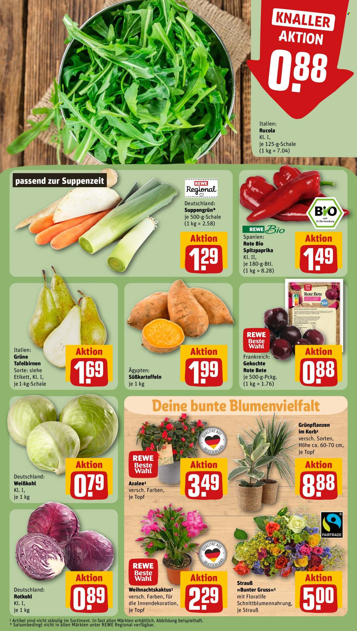 Leták REWE - 28.10.2024 - 2.11.2024. Strana 7