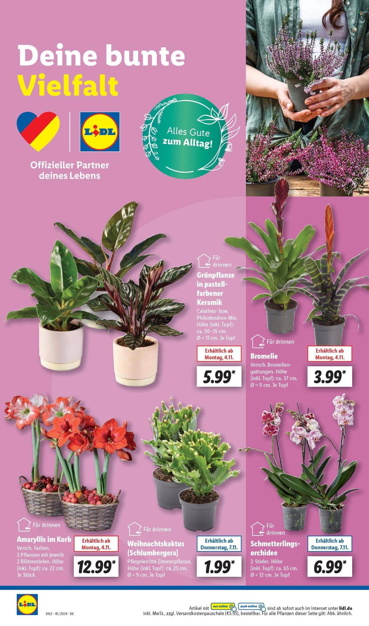 Lidl Prospekte  - 4.11.2024 - 9.11.2024. Seite 24