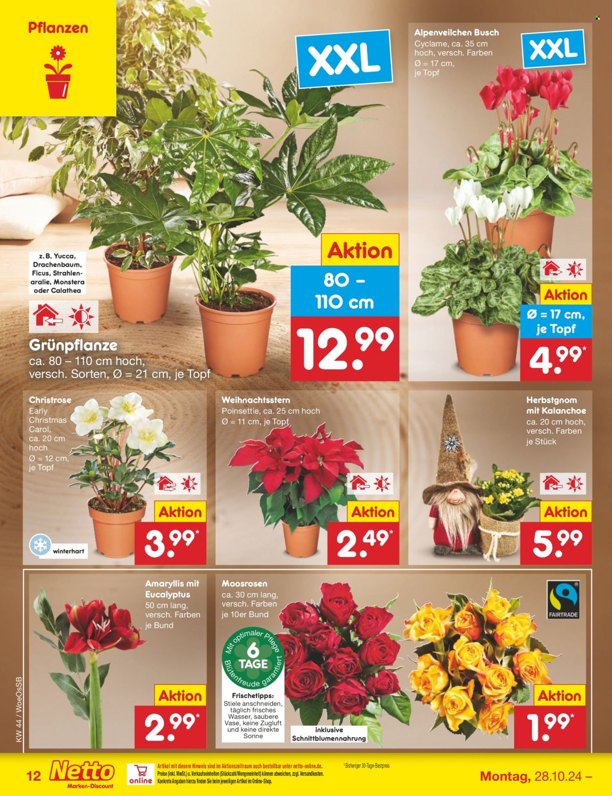 Netto Marken-Discount Prospekte  - 28.10.2024 - 2.11.2024. Seite 12