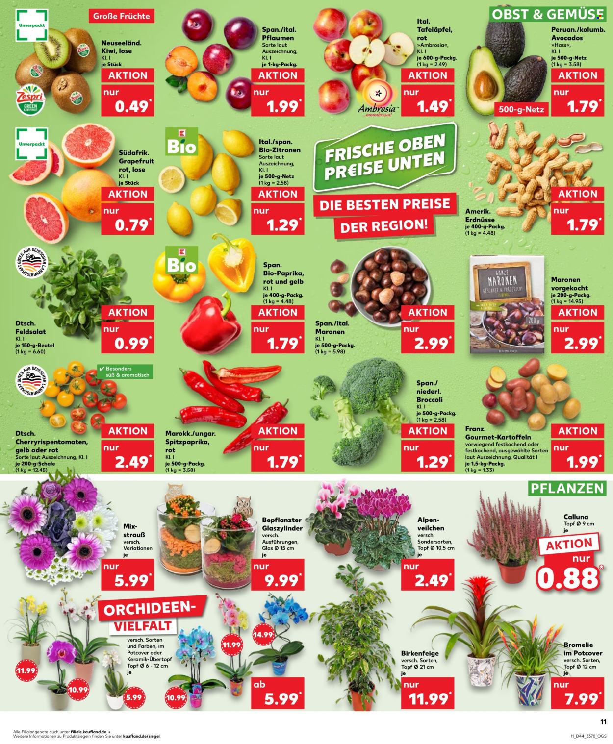 Kaufland Prospekte  - 31.10.2024 - 6.11.2024. Seite 11