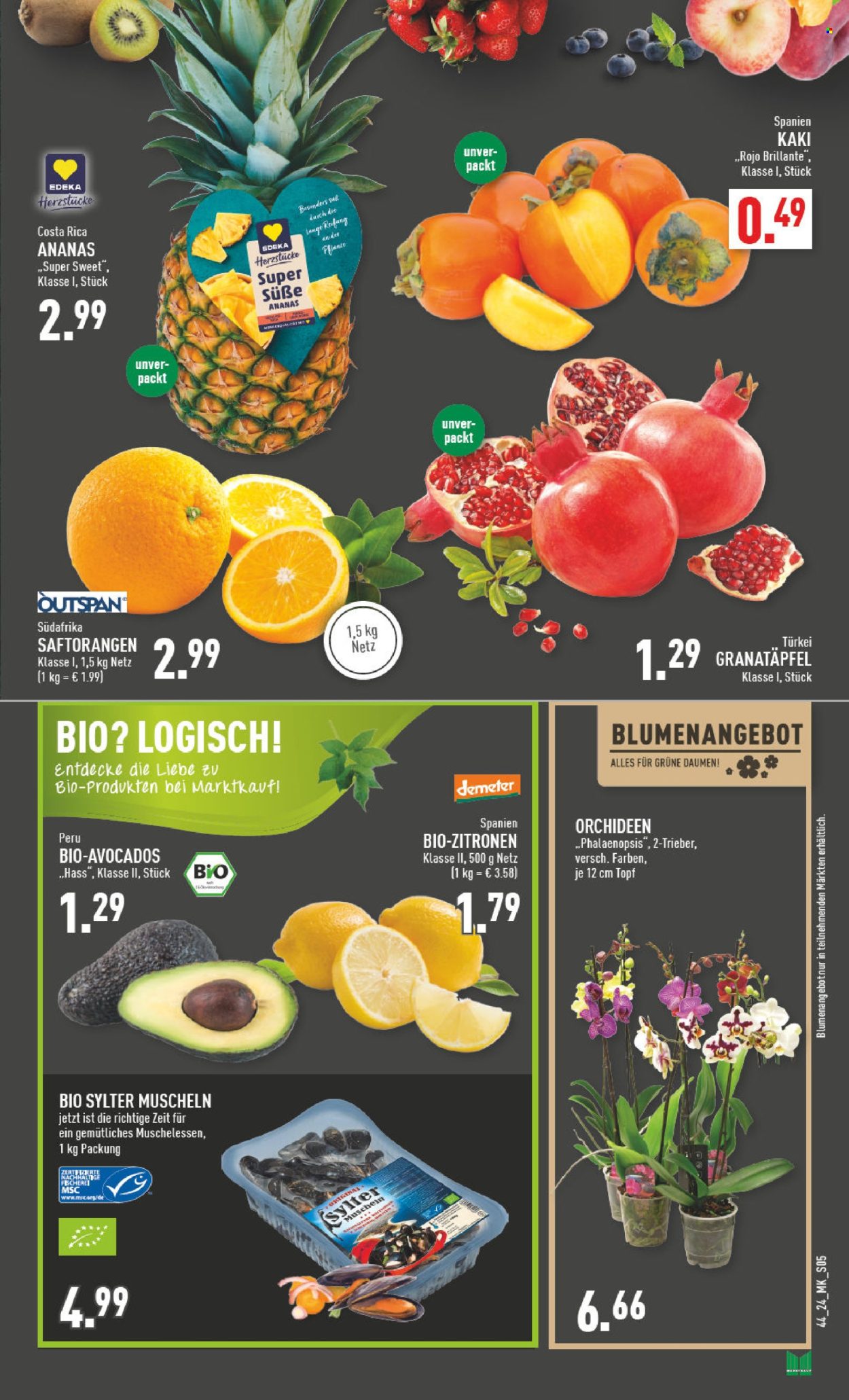 Marktkauf Prospekte  - 28.10.2024 - 2.11.2024. Seite 5