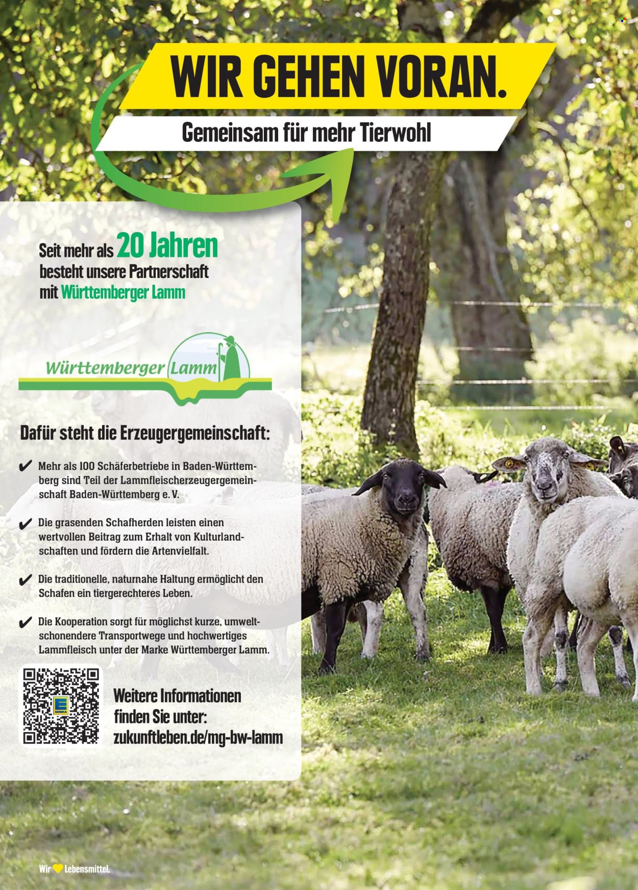 Edeka Prospekte  - 28.10.2024 - 2.11.2024. Seite 6