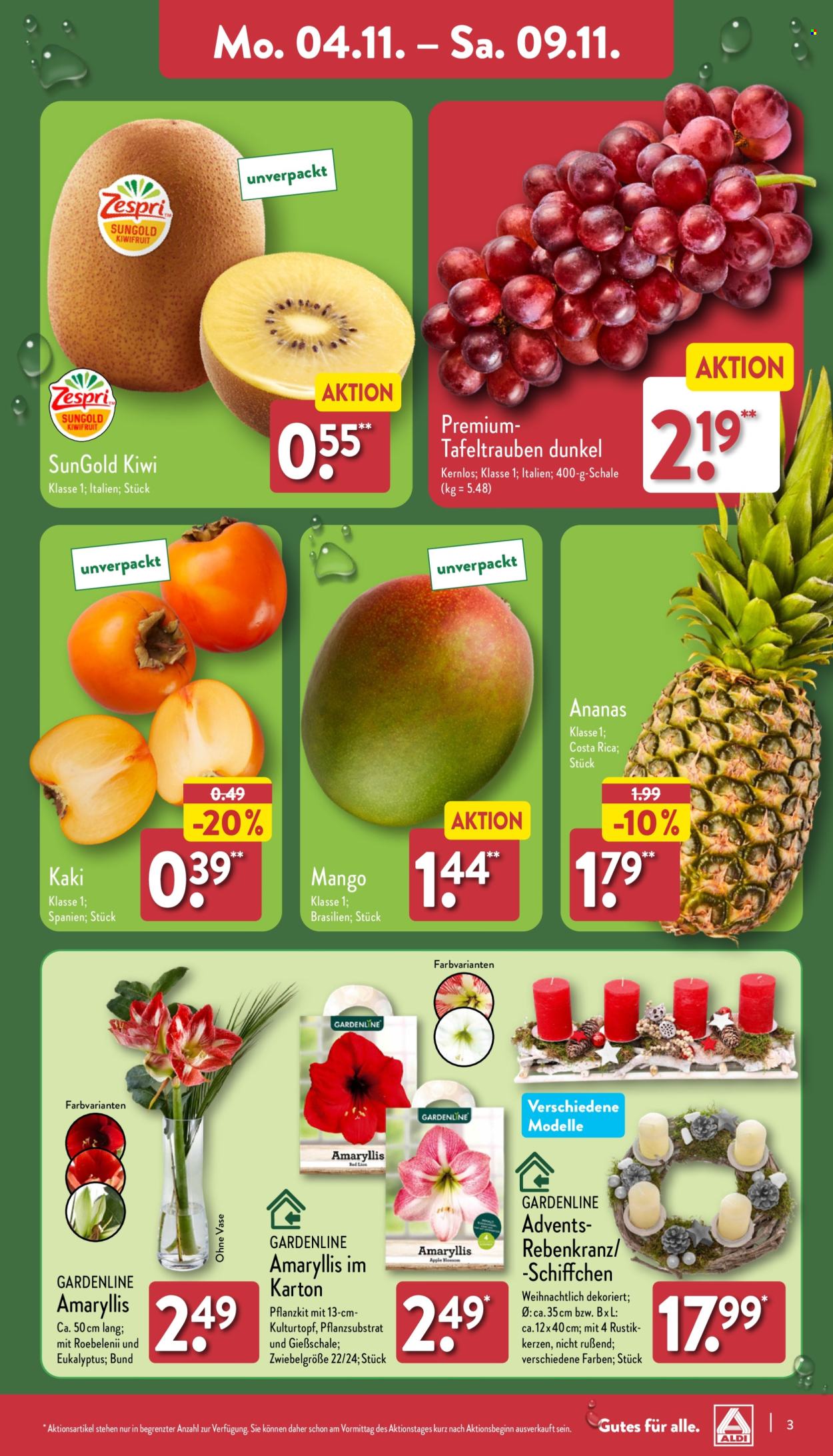 ALDI Nord Prospekte  - 4.11.2024 - 9.11.2024. Seite 3