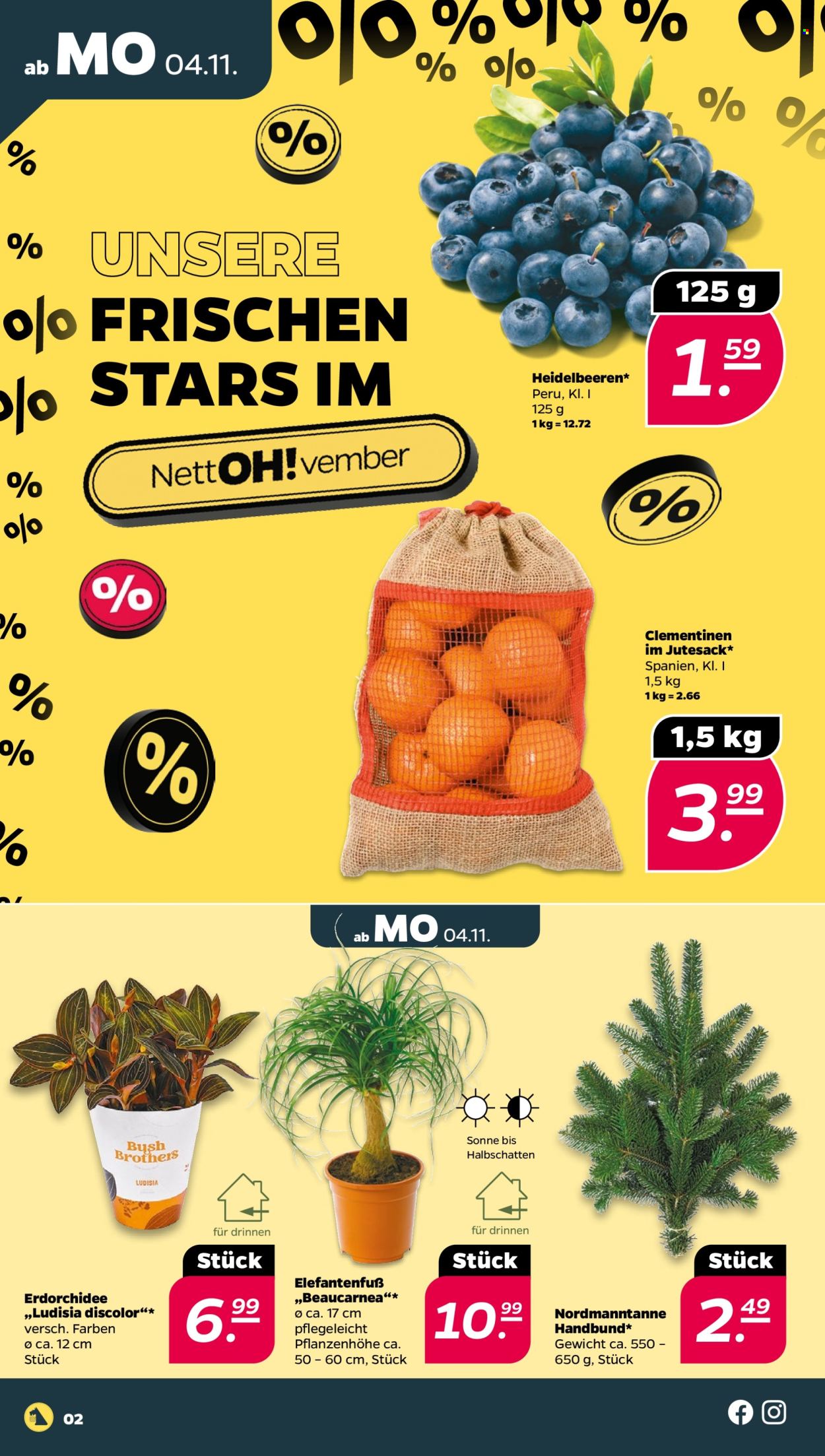 Netto Prospekte  - 4.11.2024 - 9.11.2024. Seite 2