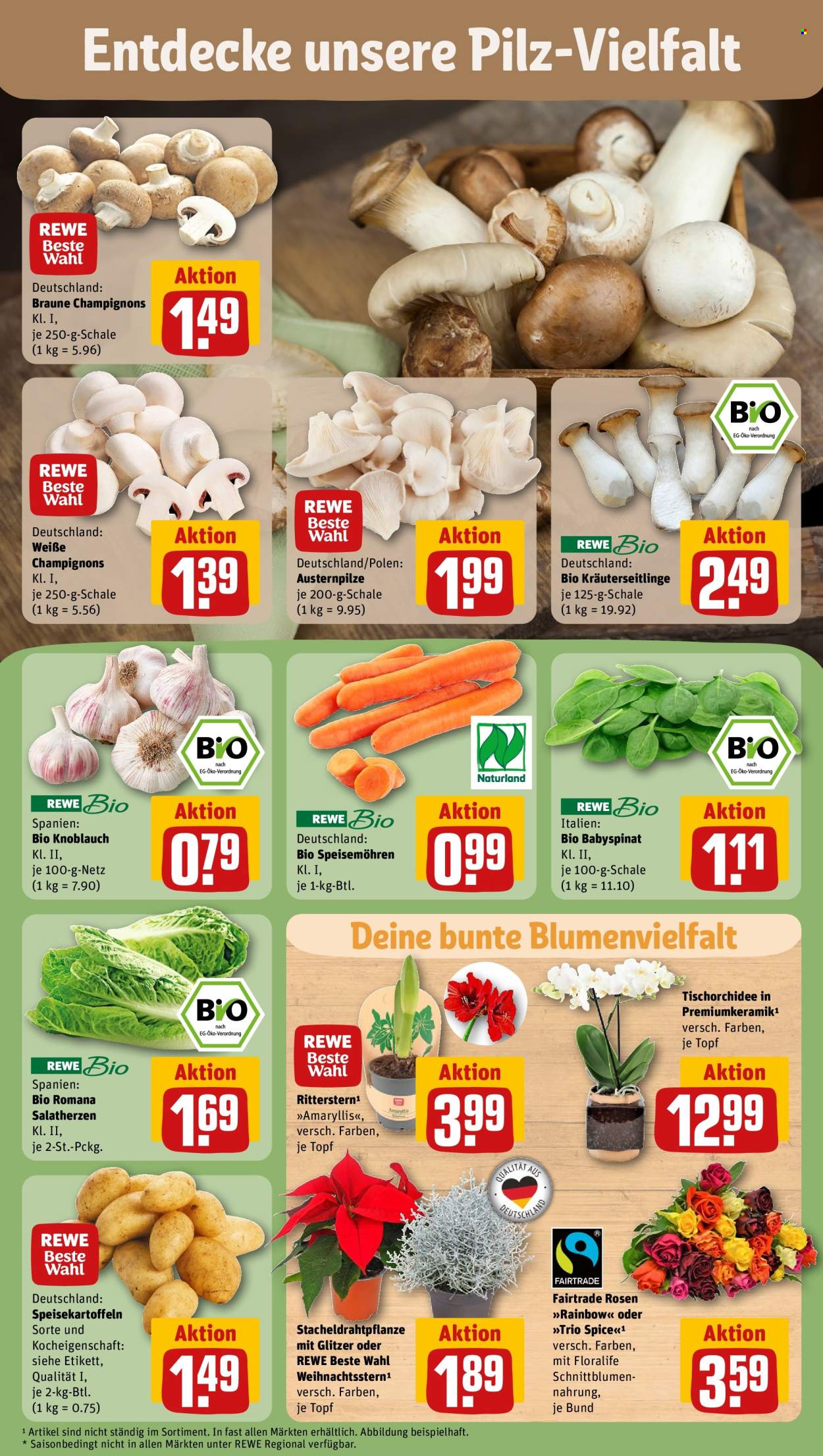Leták REWE - 4.11.2024 - 9.11.2024. Strana 7