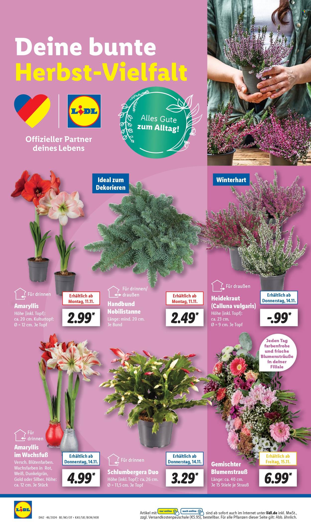 Lidl Prospekte  - 11.11.2024 - 16.11.2024. Seite 24