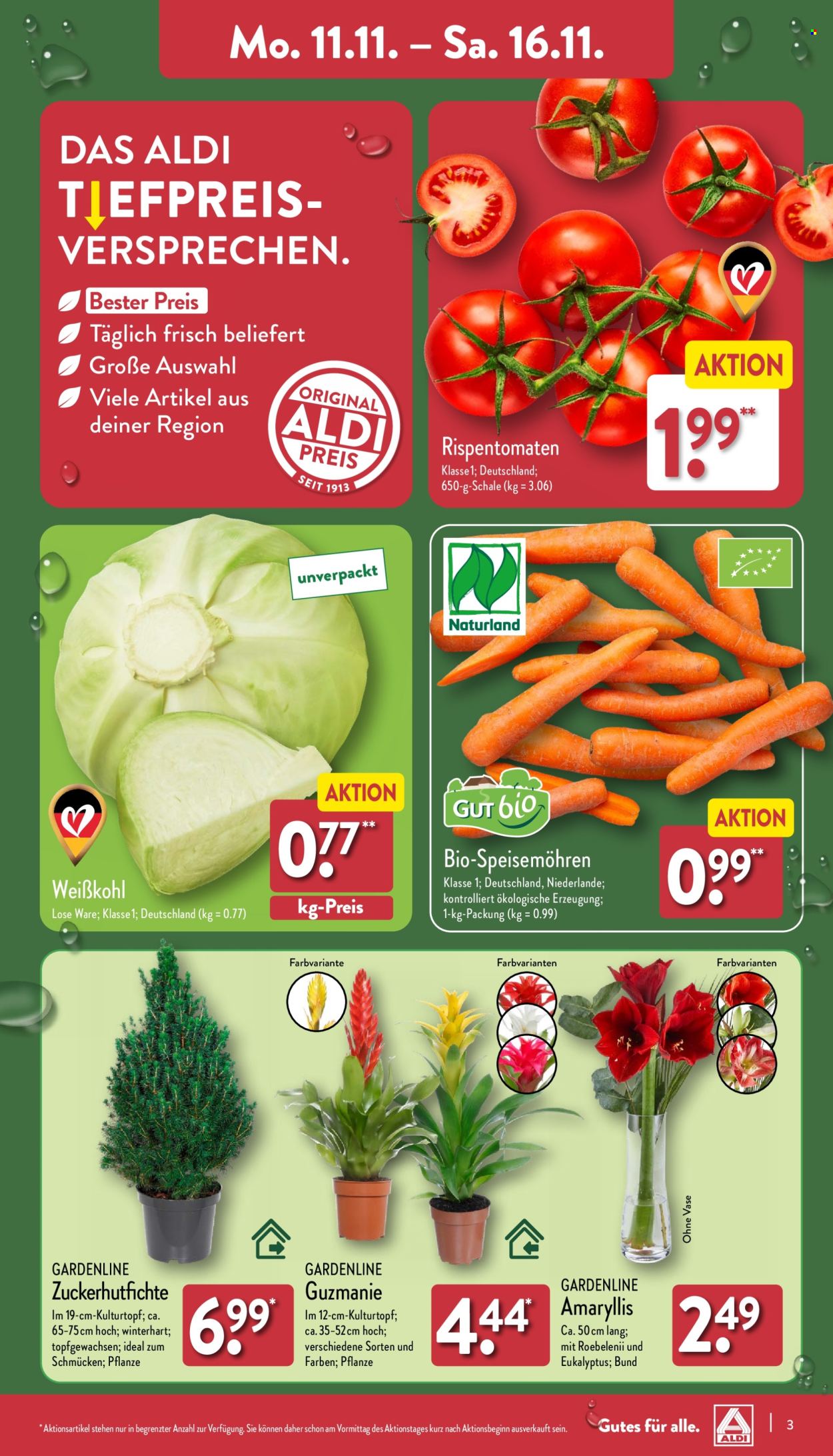 ALDI Nord Prospekte  - 11.11.2024 - 16.11.2024. Seite 3
