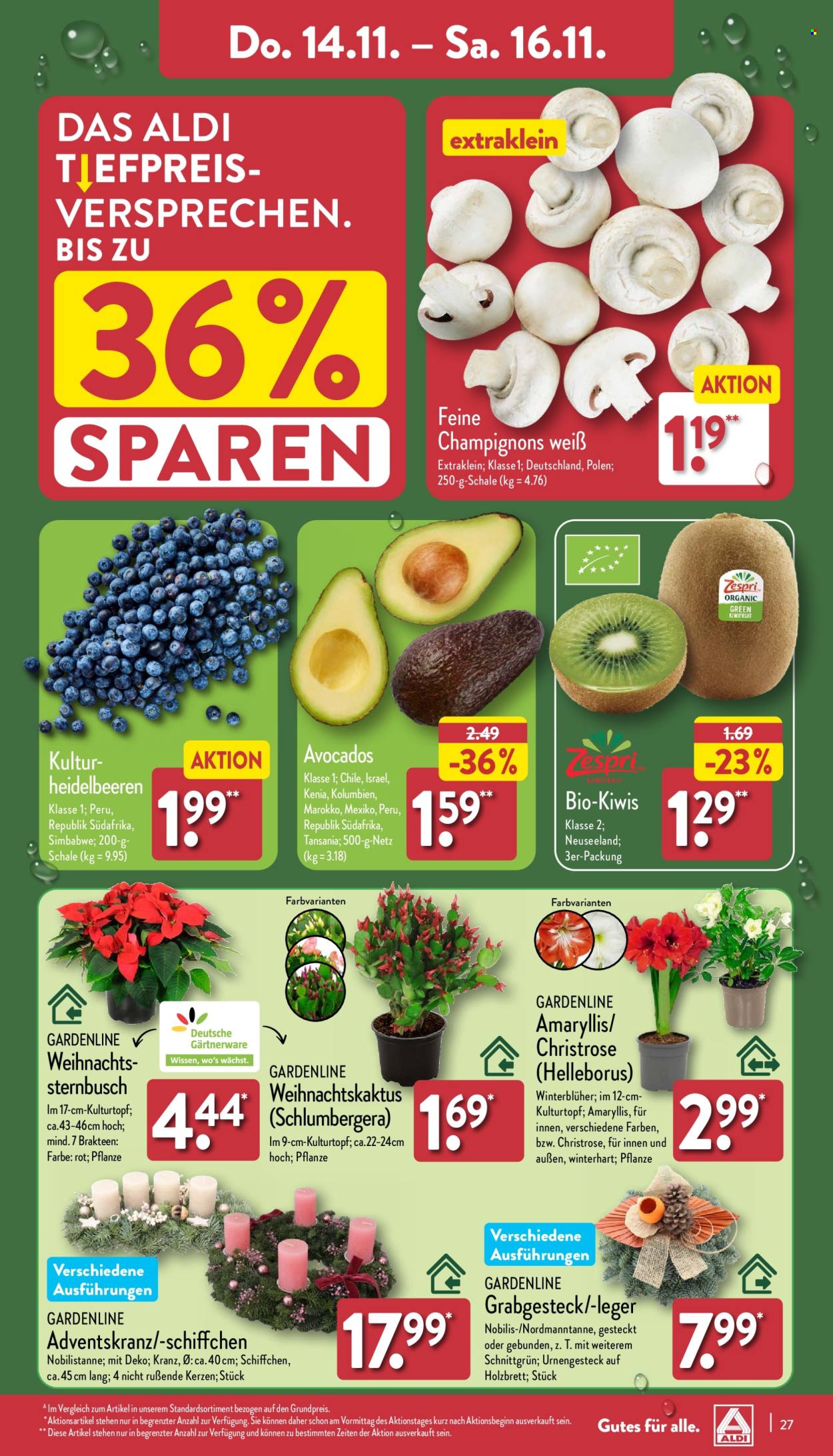 ALDI Nord Prospekte  - 11.11.2024 - 16.11.2024. Seite 31