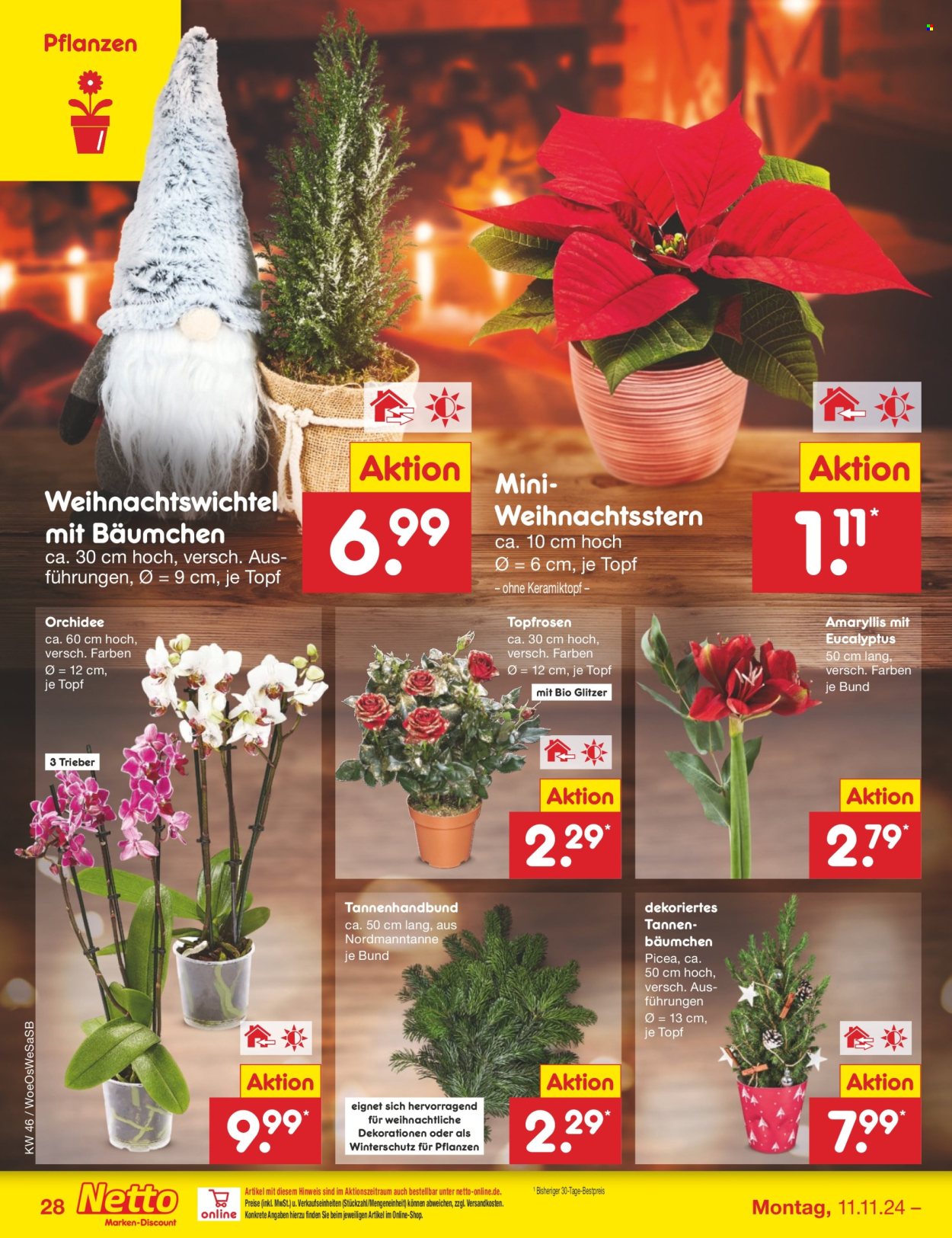 Netto Marken-Discount Prospekte  - 11.11.2024 - 16.11.2024. Seite 34