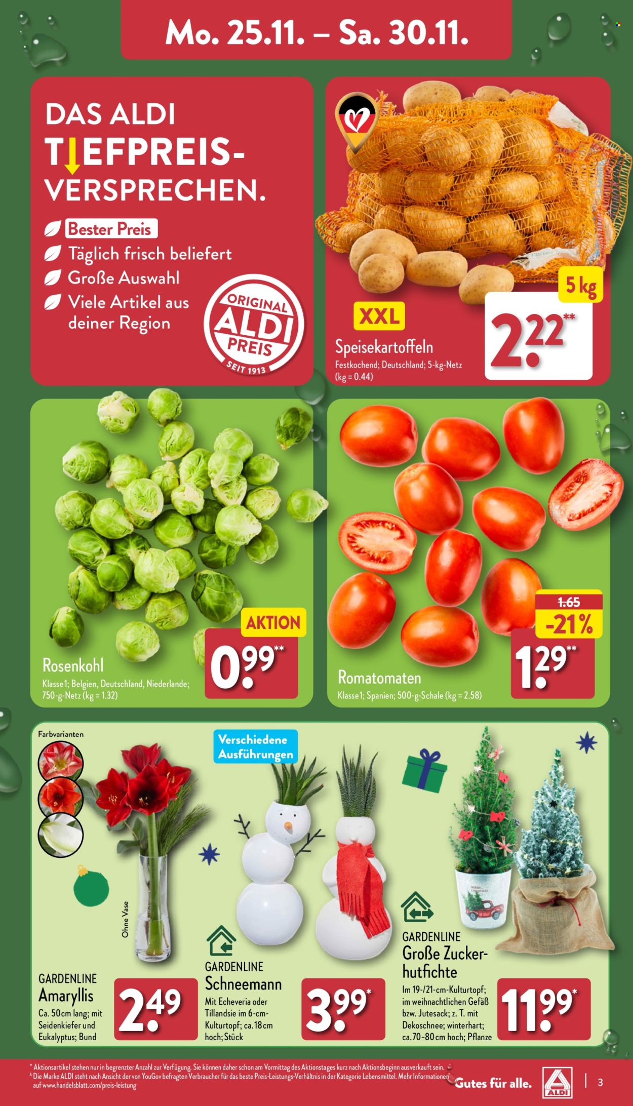 ALDI Nord Prospekte  - 25.11.2024 - 30.11.2024. Seite 3