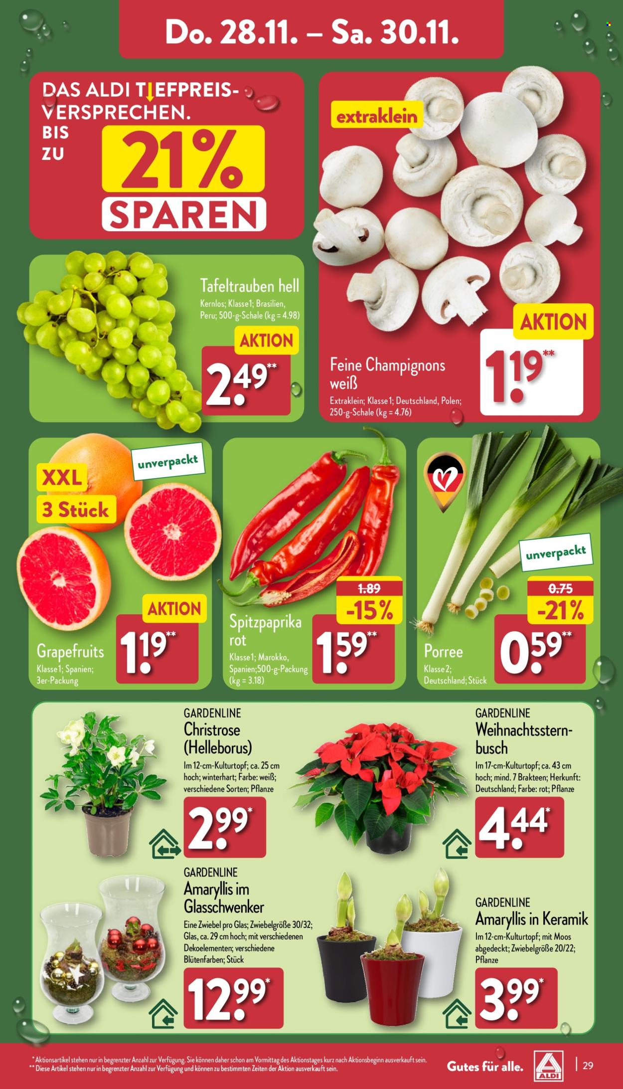 ALDI Nord Prospekte  - 25.11.2024 - 30.11.2024. Seite 29